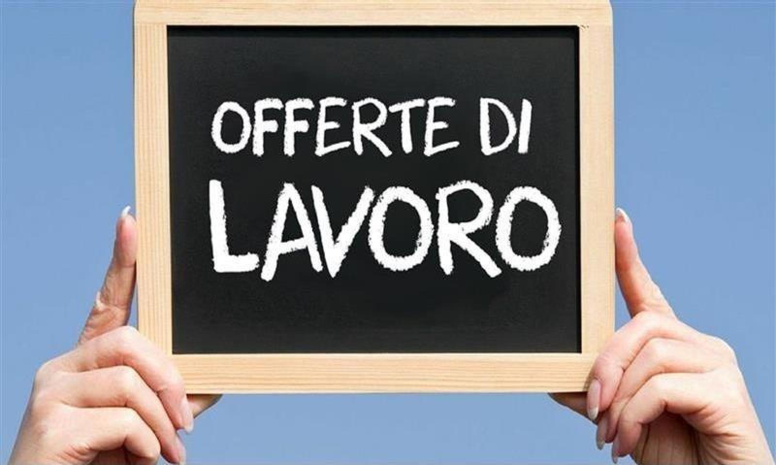 Sono arrivate 78 nuove offerte di lavoro a Rovigo e provincia