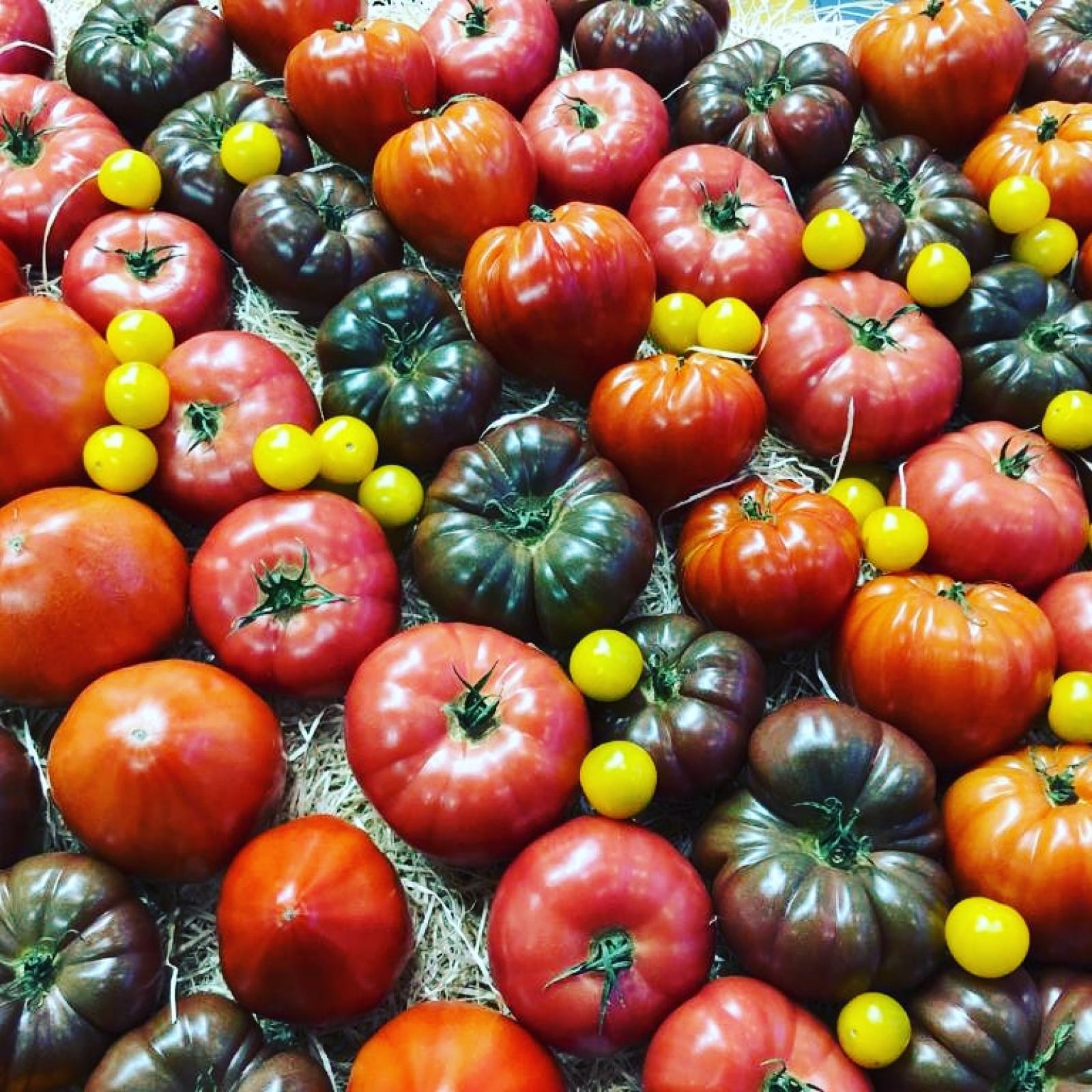 Al mercato della Tassina arriva il #tintarelladay