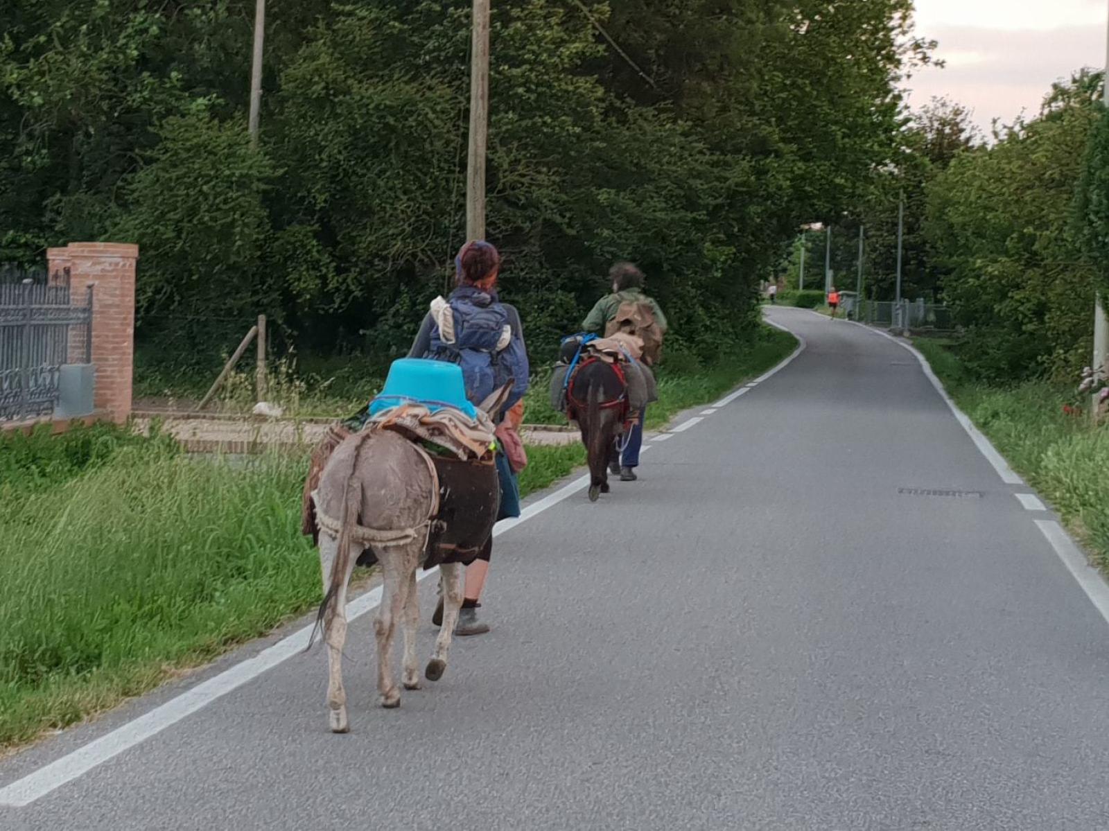 Turista straniero derubato. Raccolta fondi dei cittadini
