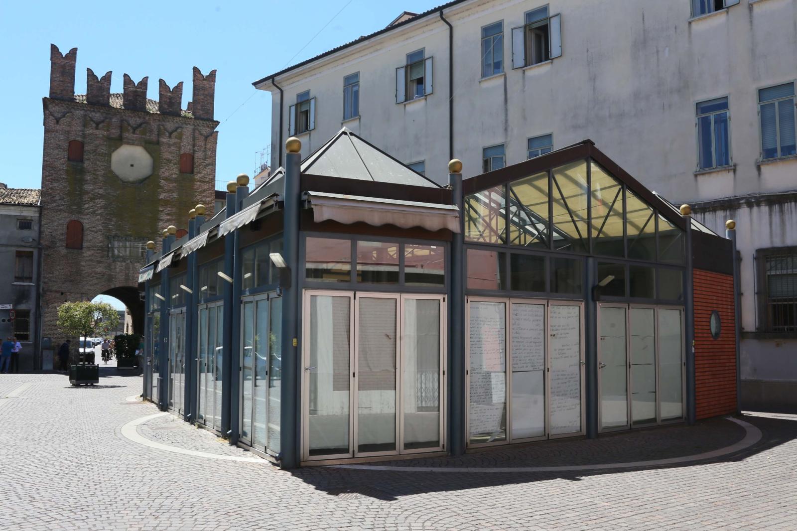 Un girasole per il futuro del chiosco