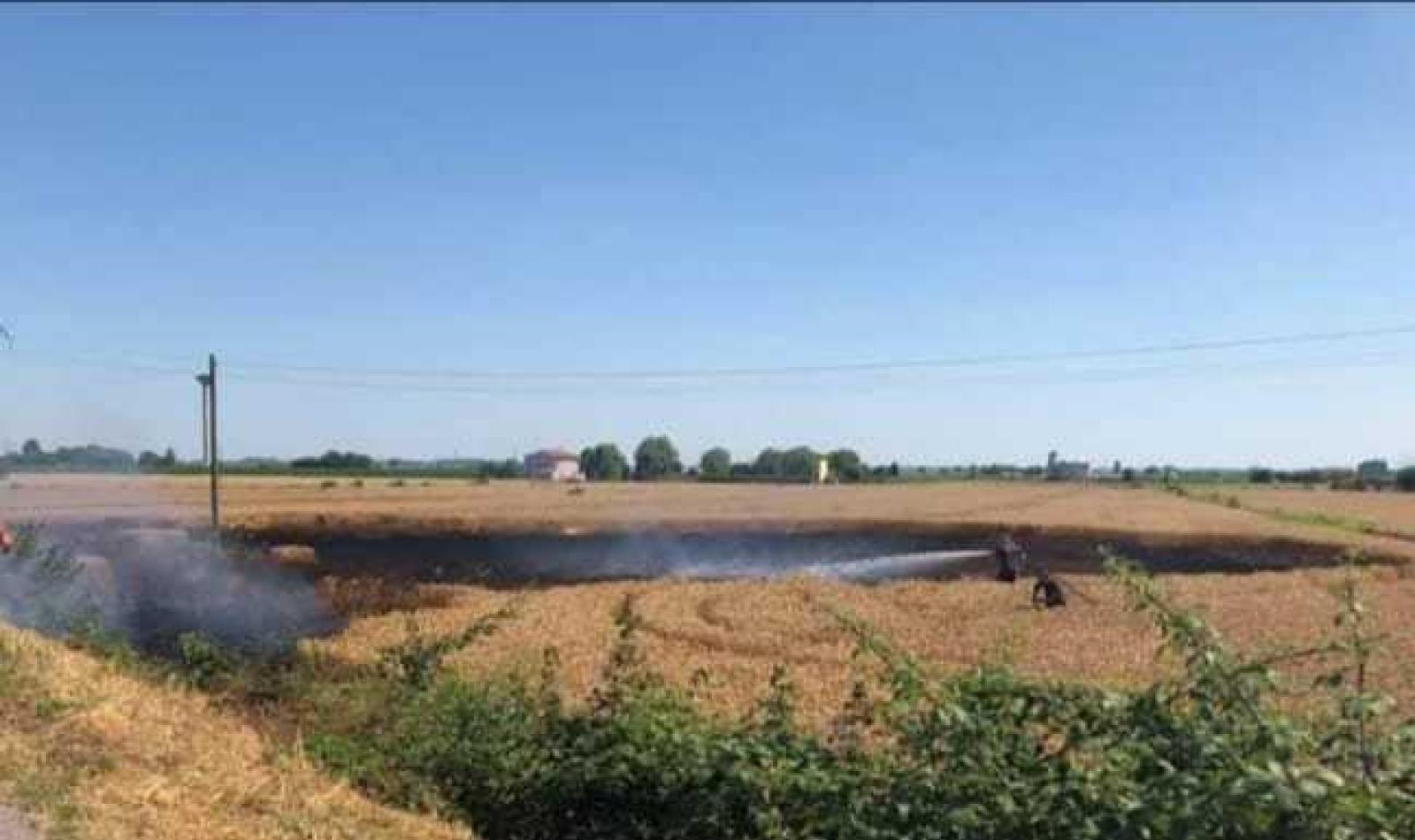 A fuoco i campi del vicesindaco: "Vittima di vandalismo"