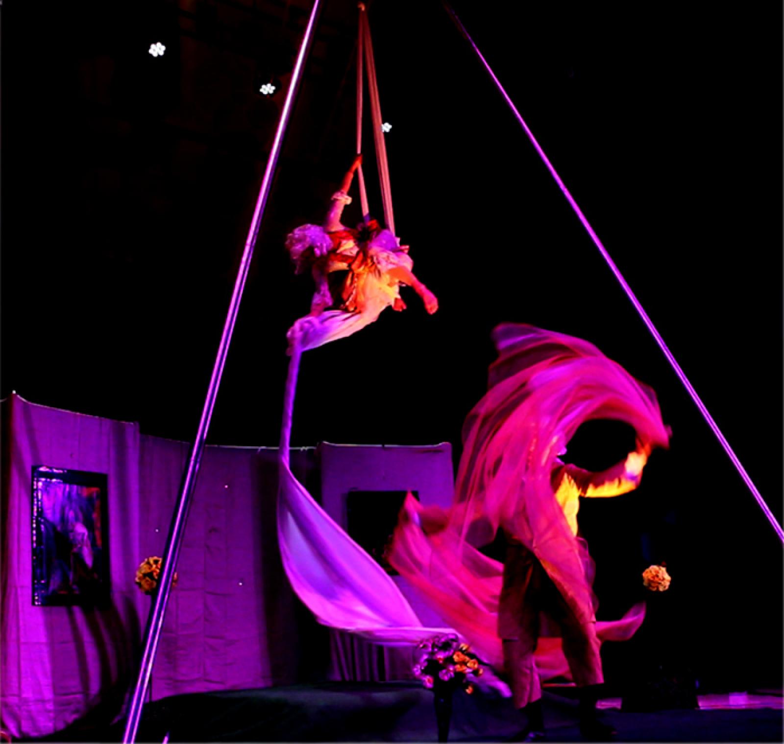 Il successo del circo senza animali