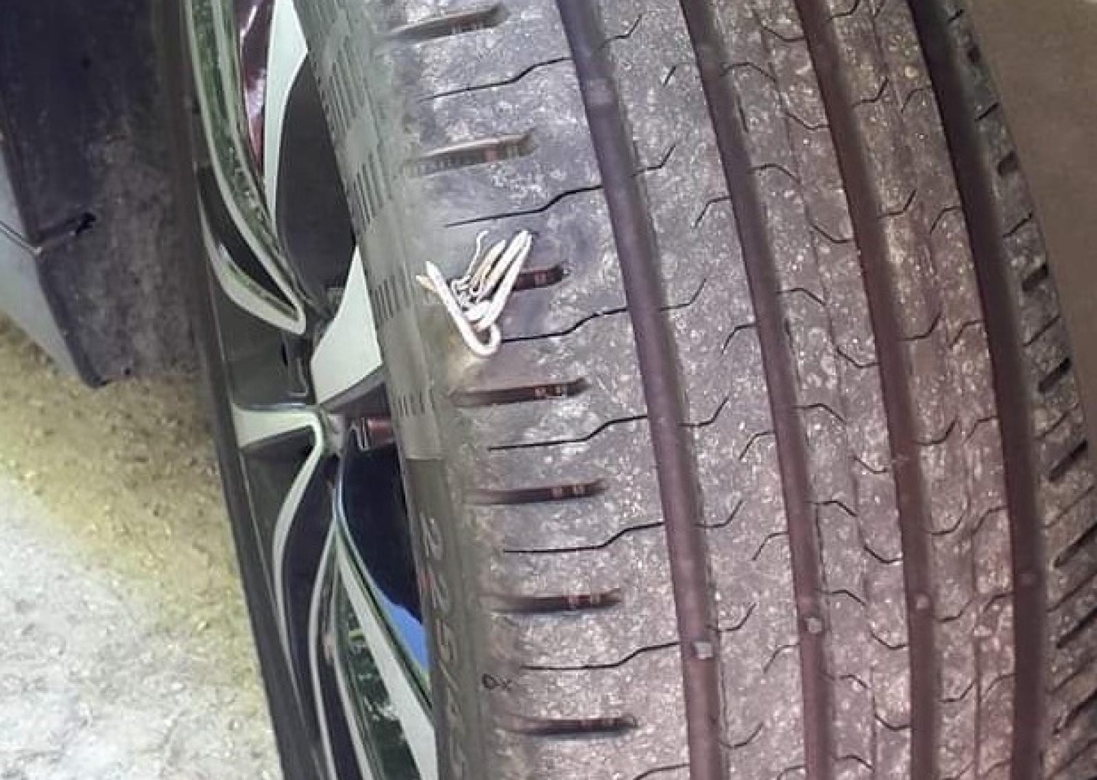 Angoscia in paese: l'incubo &egrave; ricominciato