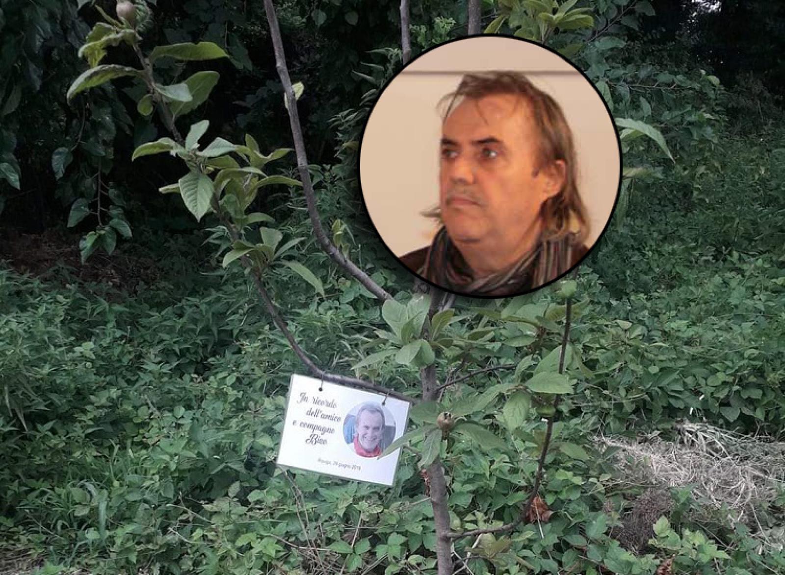 Un  albero per non dimenticare mai il "Biso"