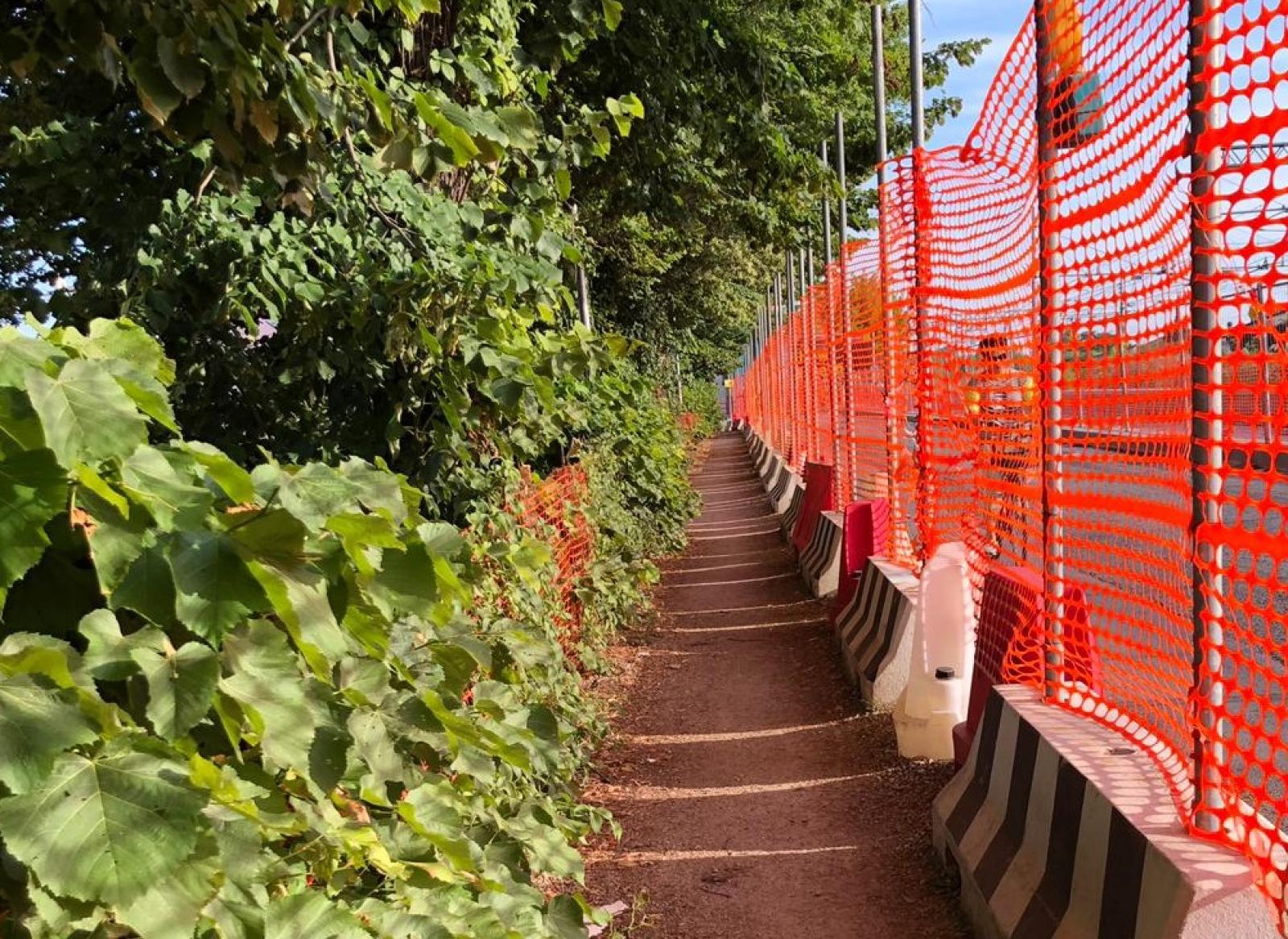 Lavori fermi e incuria: "Perch&eacute; non sollecitate le Ferrovie?"