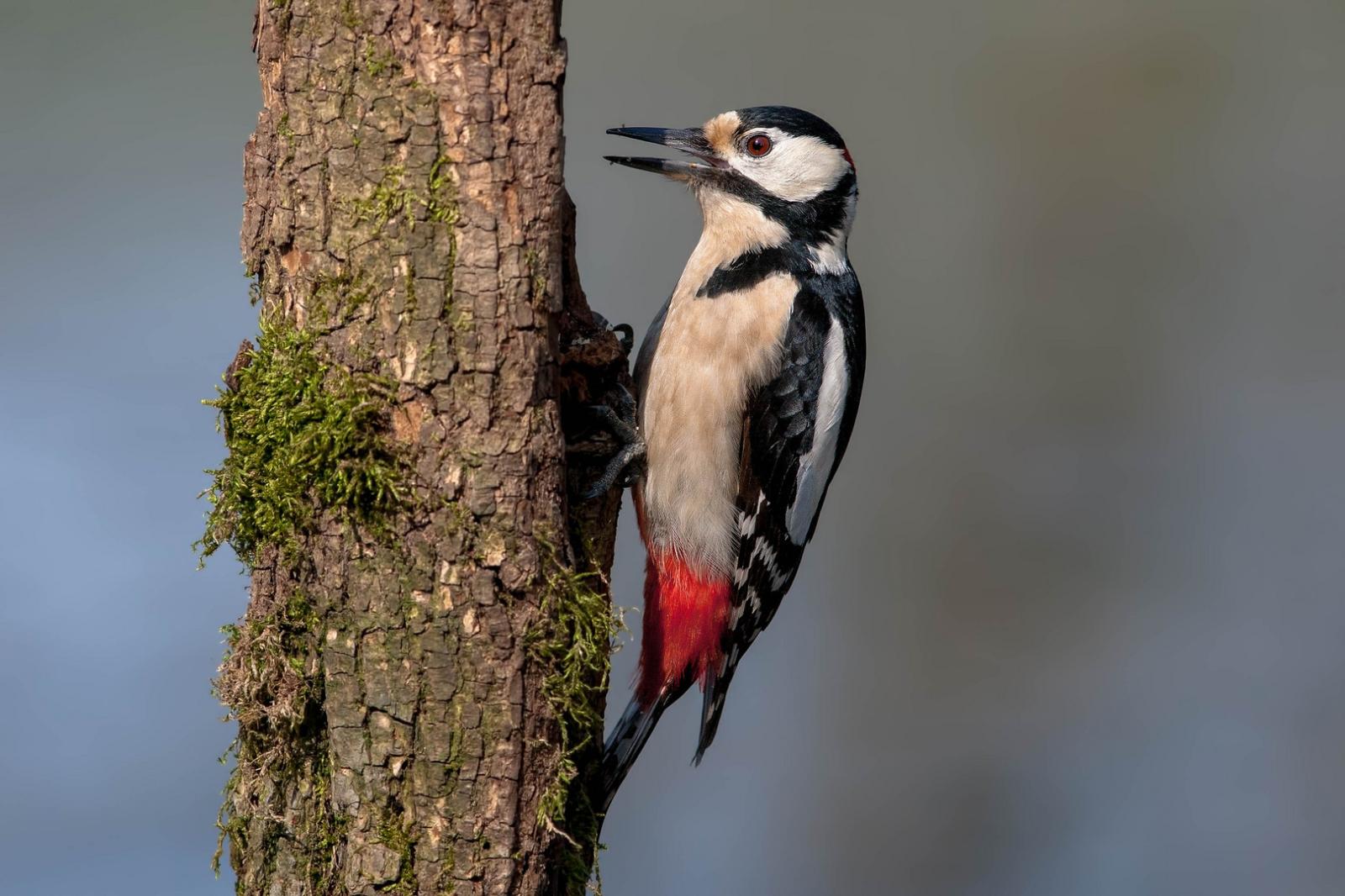 Distrutto un paradiso naturale nell'indifferenza di tutti