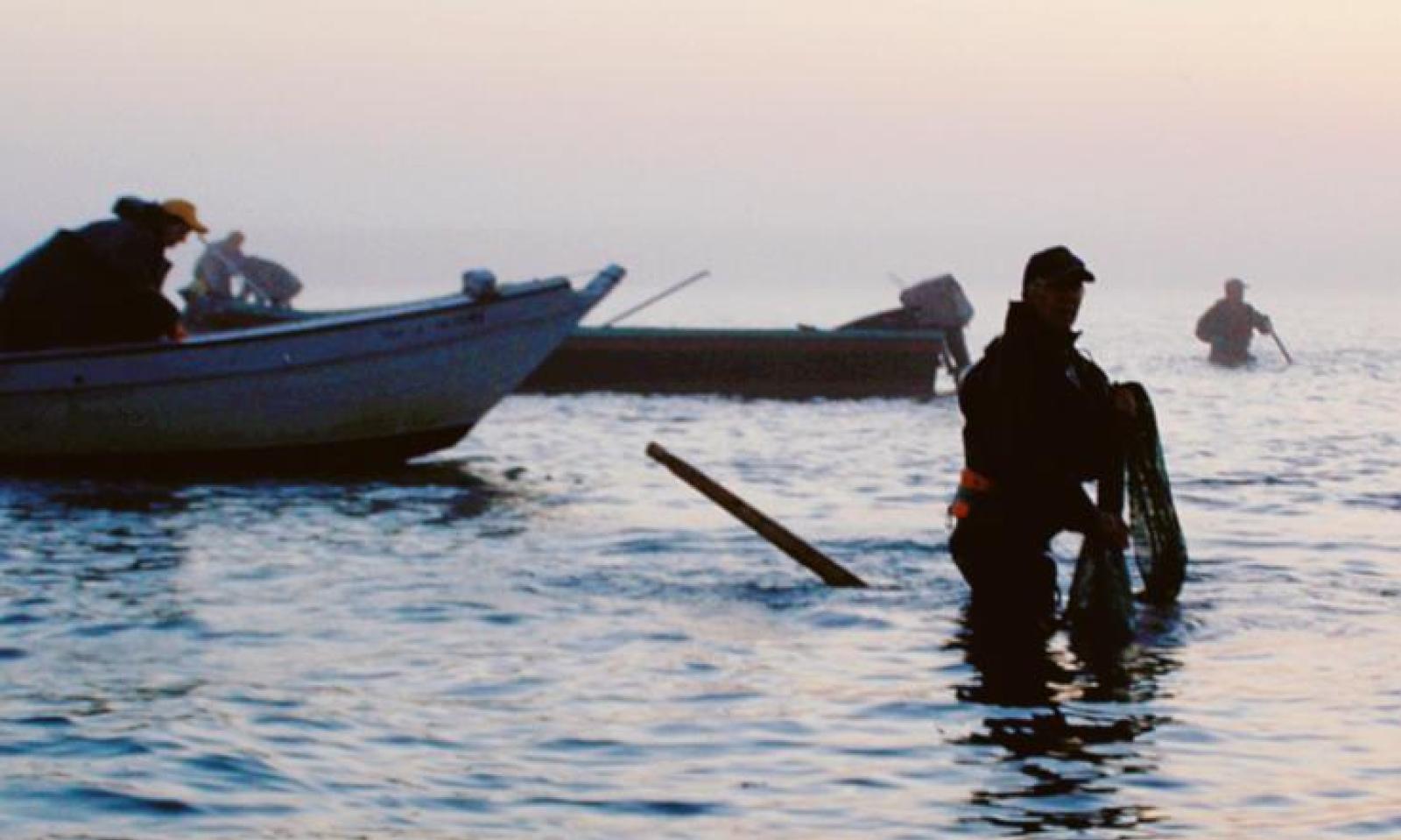 Diritti esclusivi di Pesca, salta tutto: la rabbia dei pescatori (e non solo)