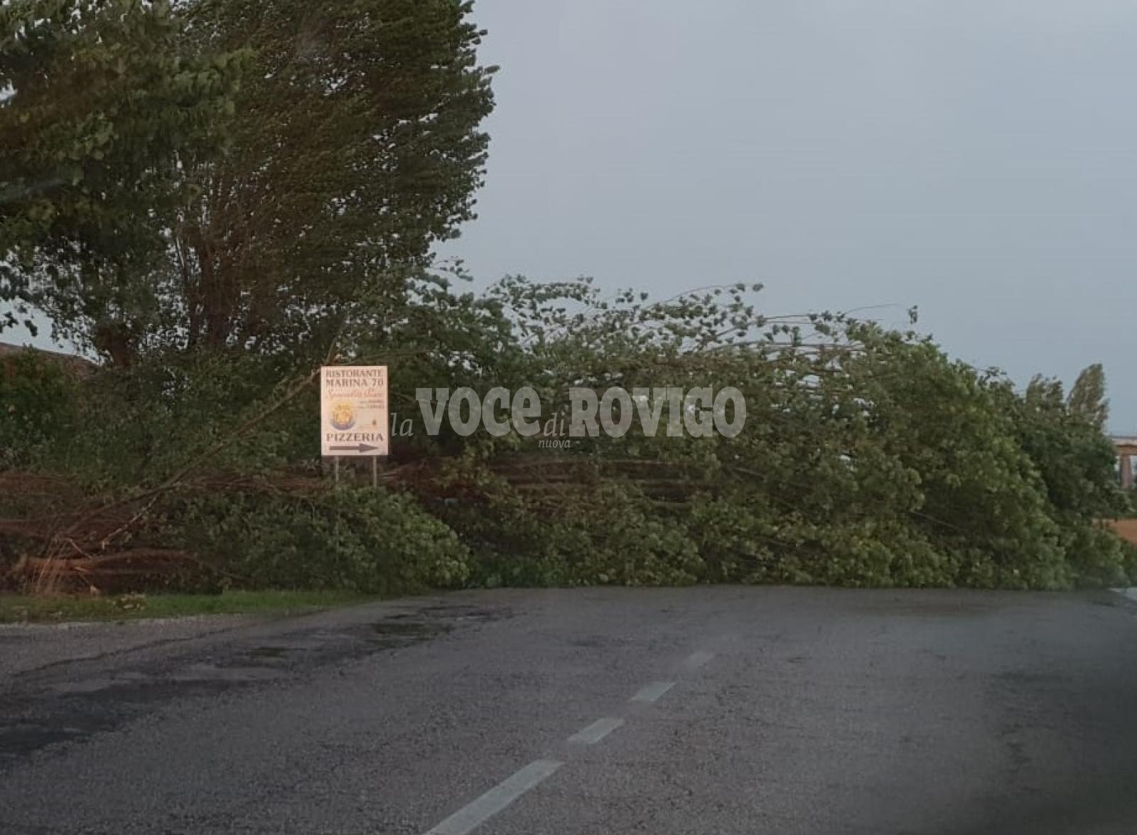 Nel Delta raffiche di vento fino ai 138 km orari