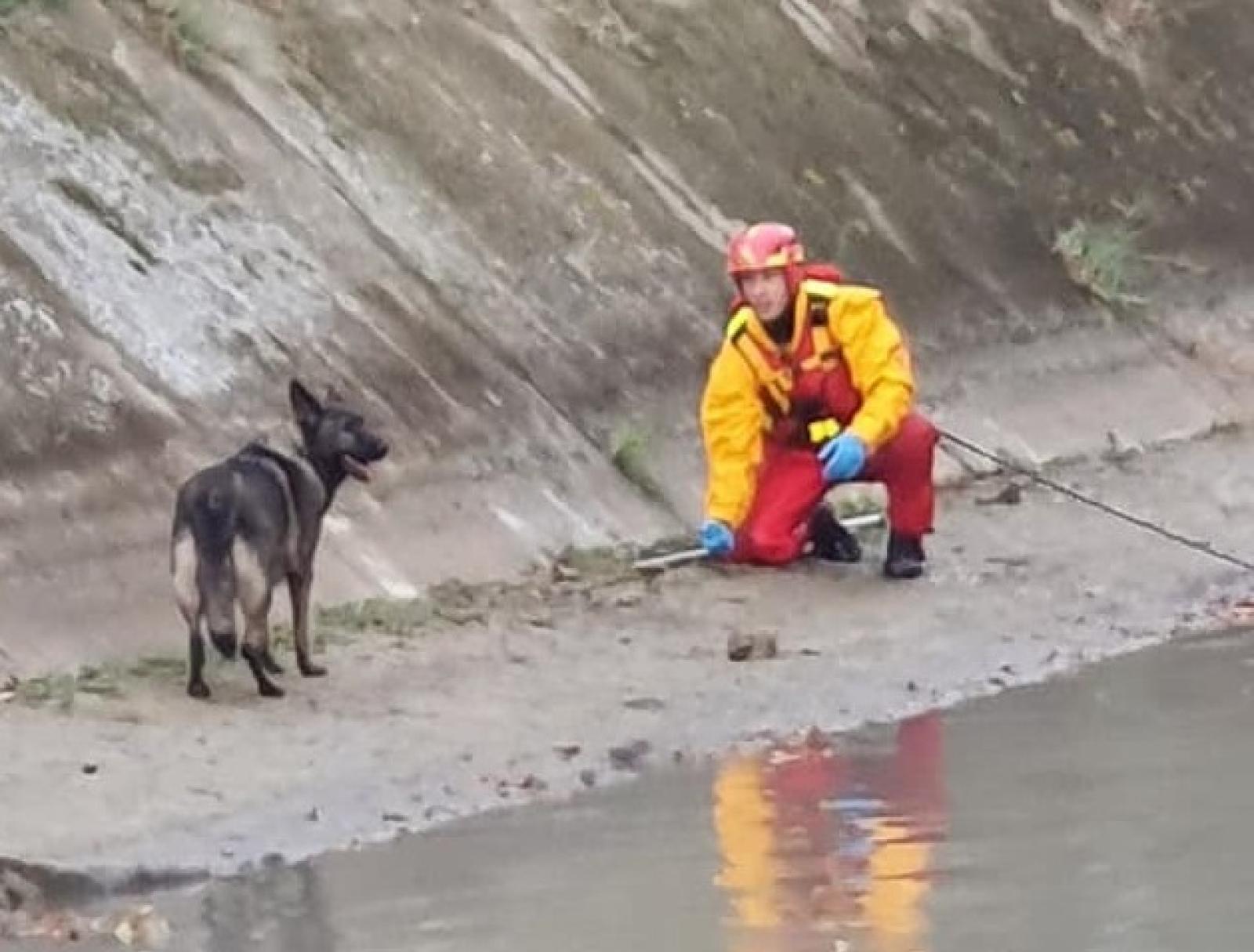 Cane in difficolt&agrave; salvato dai nostri eroi