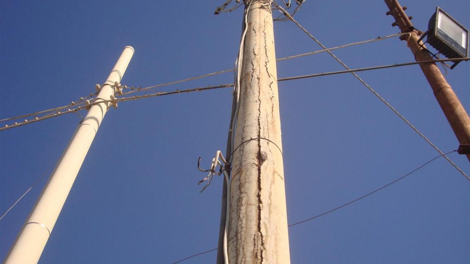 Si sgancia un cavo due cani muoiono folgarati