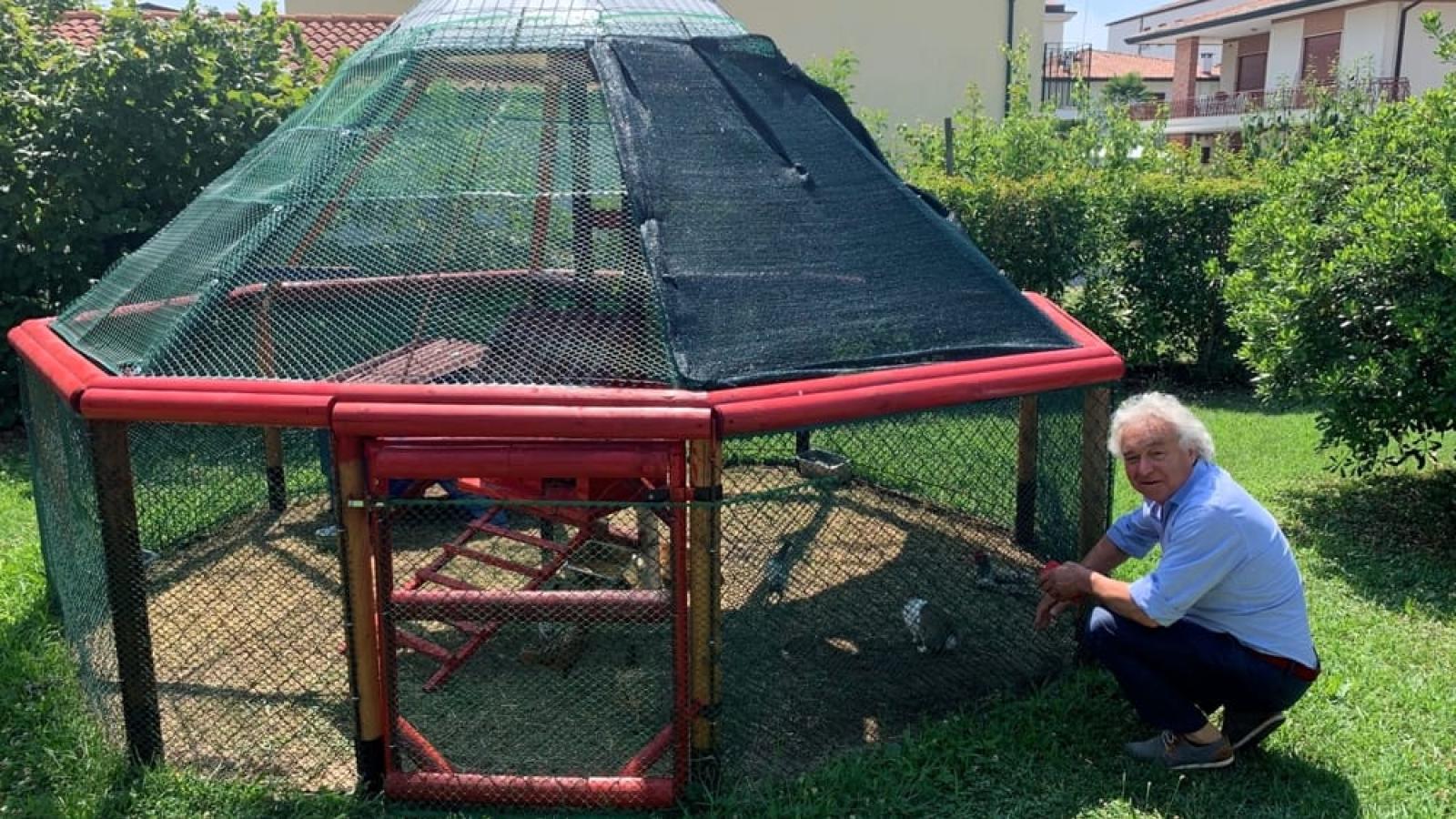 Pet Therapy con conigli e galline!