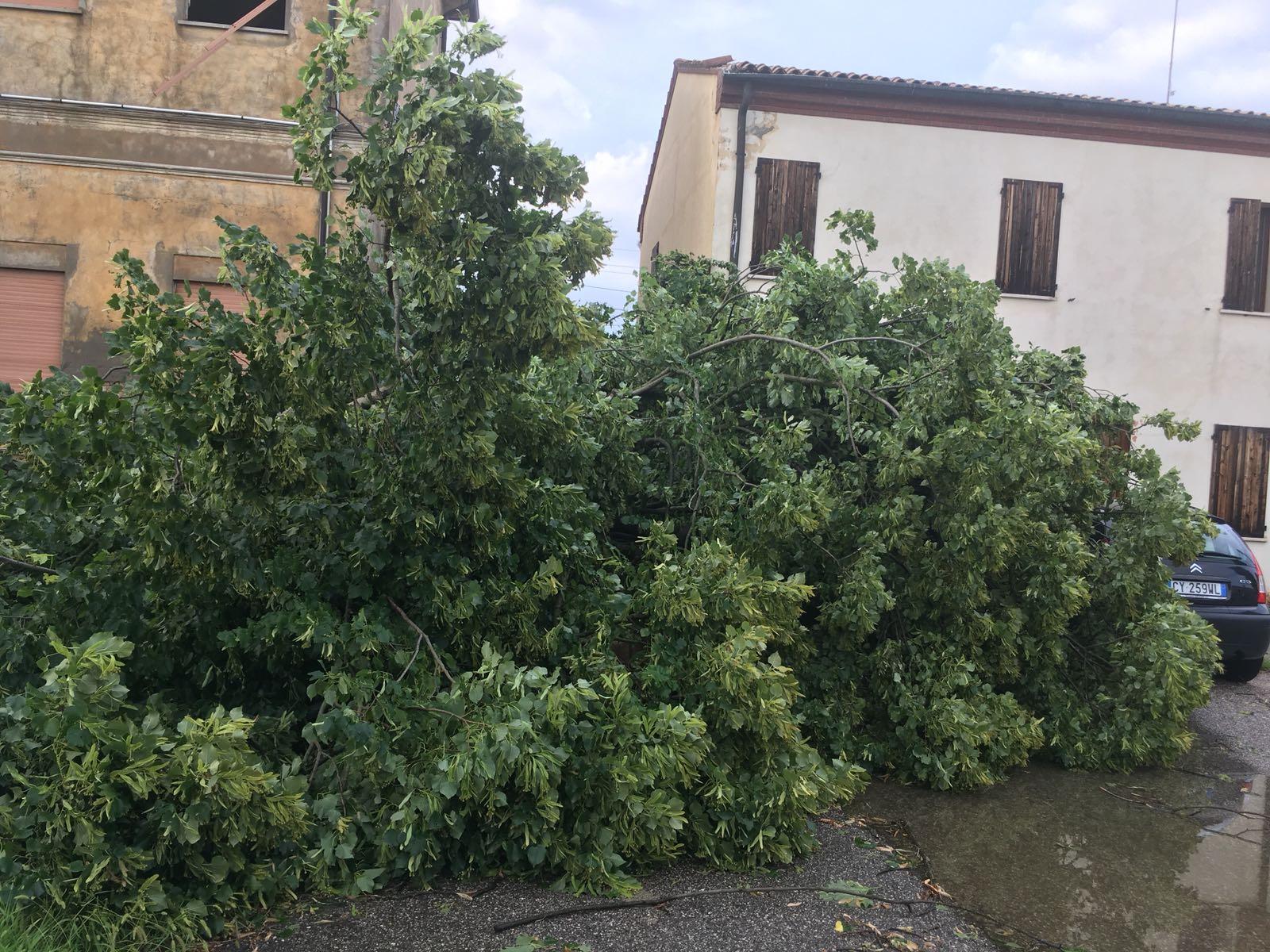 Maltempo, arrivano i rimborsi