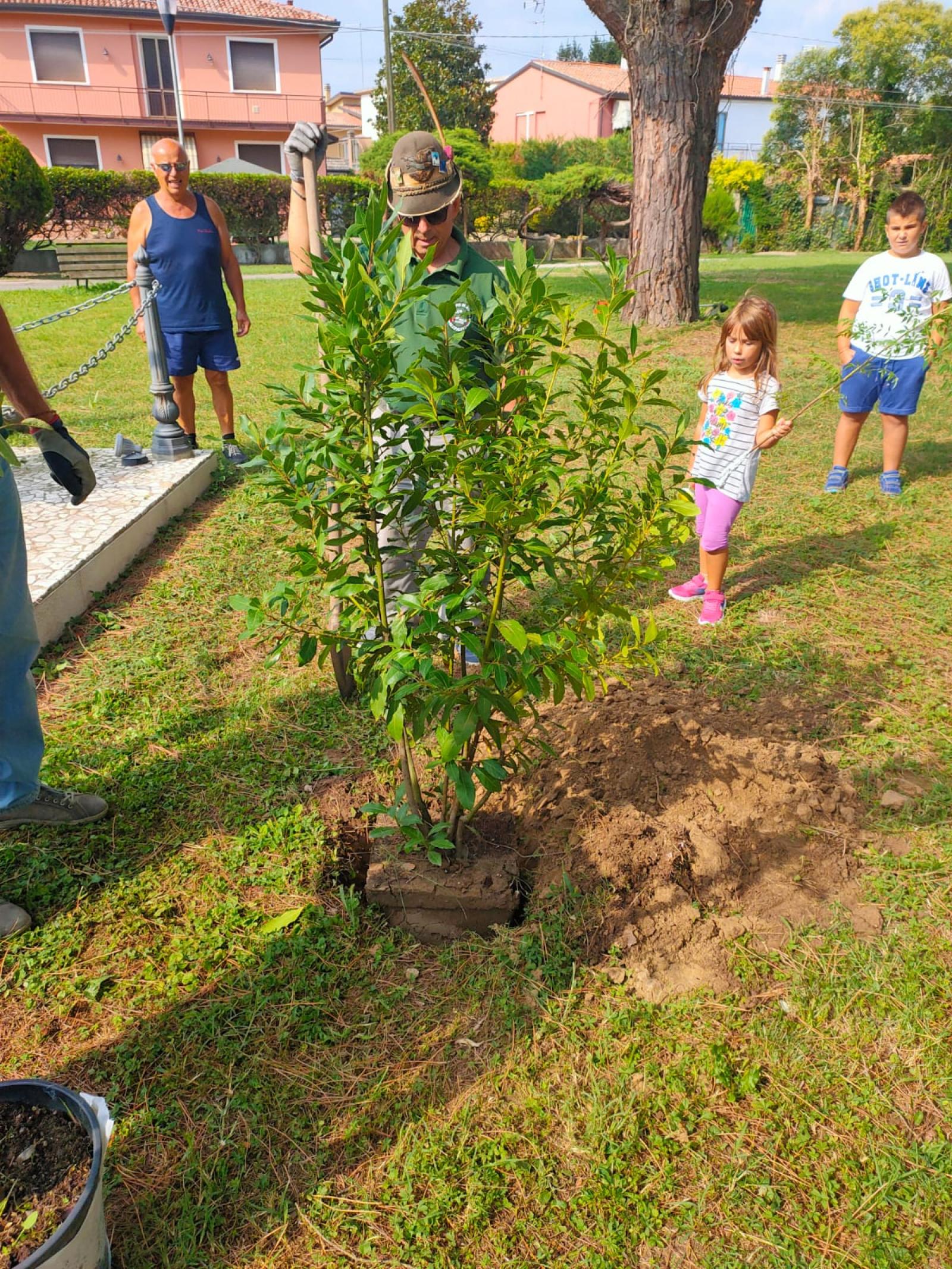 "Indosseremo i guanti e pianteremo centinaia di alberi"