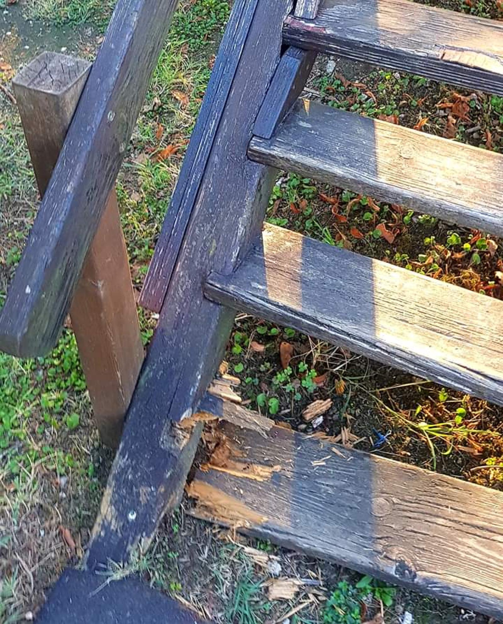 Sporcizia e degrado nei parchi