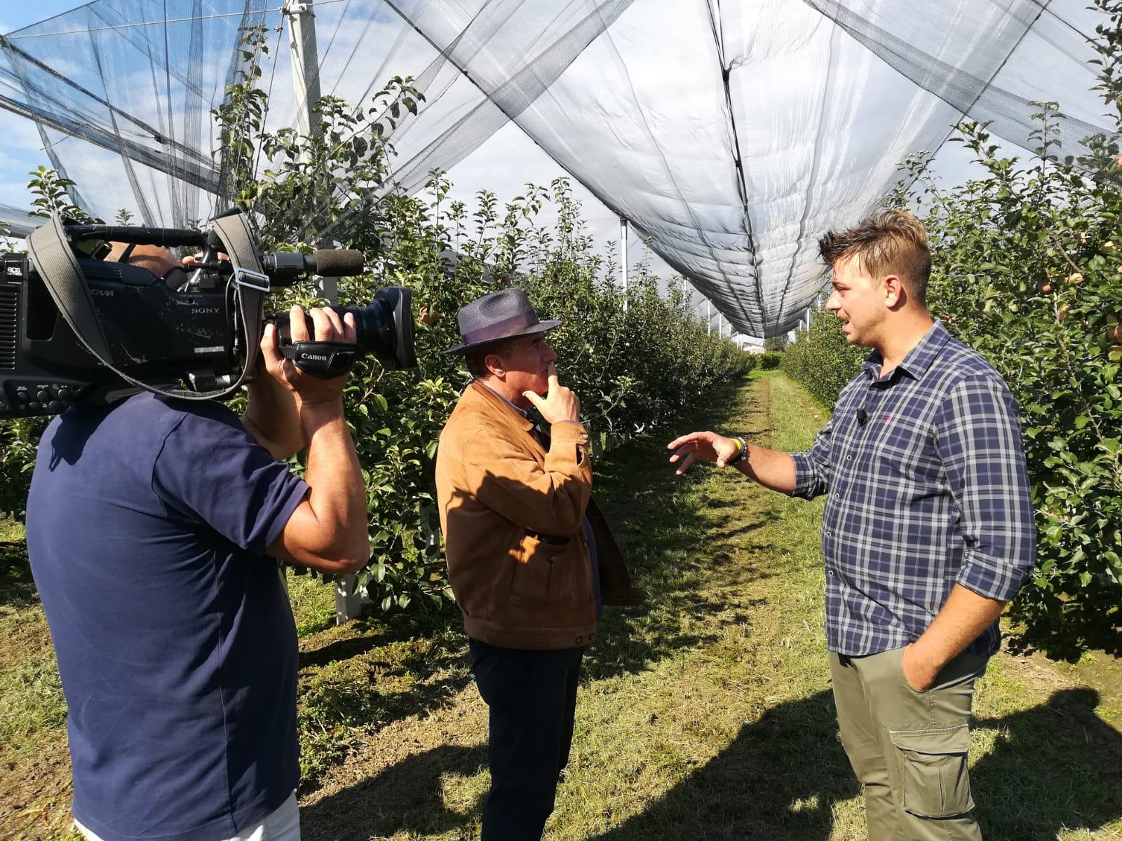I danni della cimice in Veneto finiscono su TG1