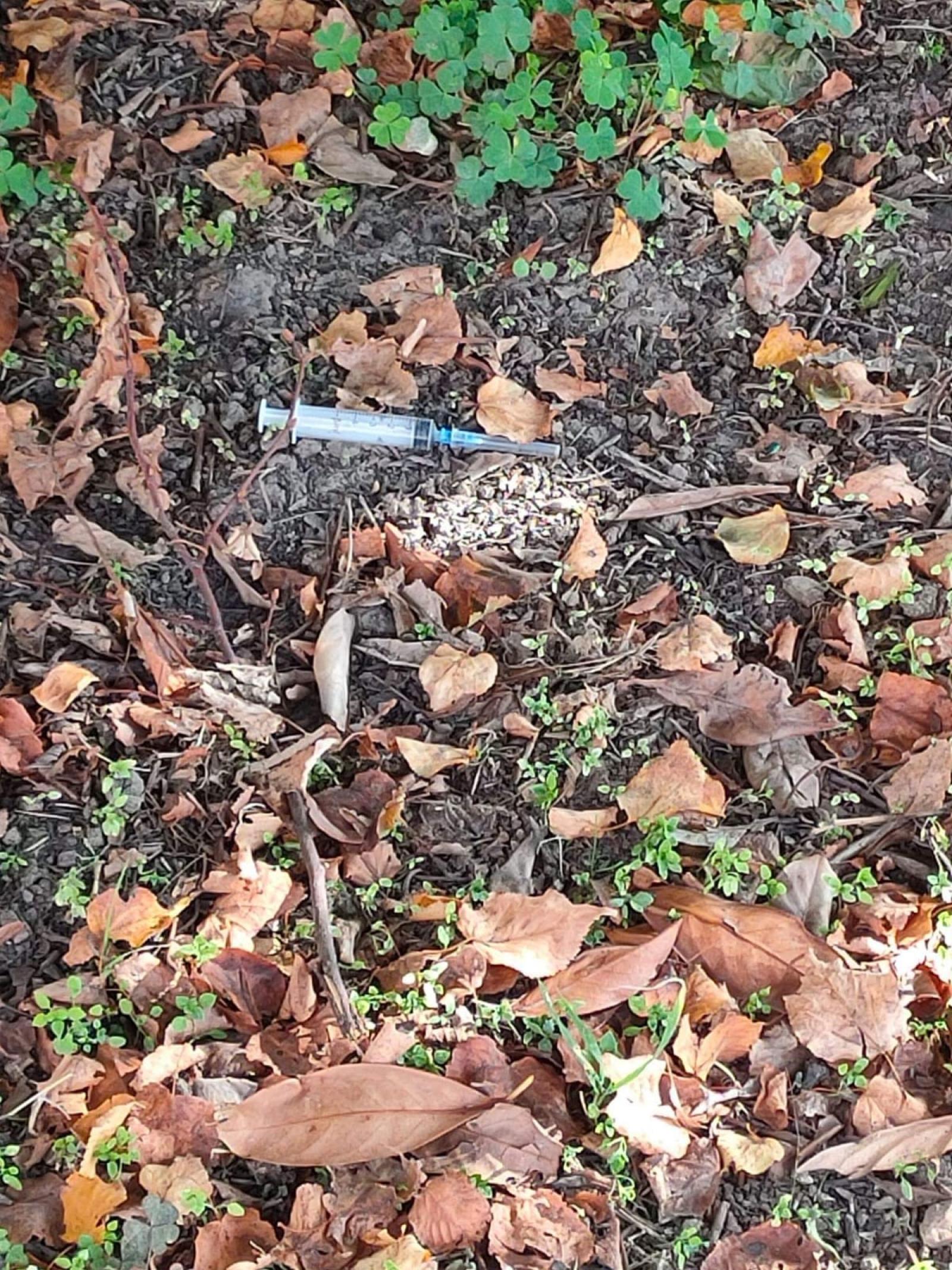 Ritrovata un&rsquo;altra siringa