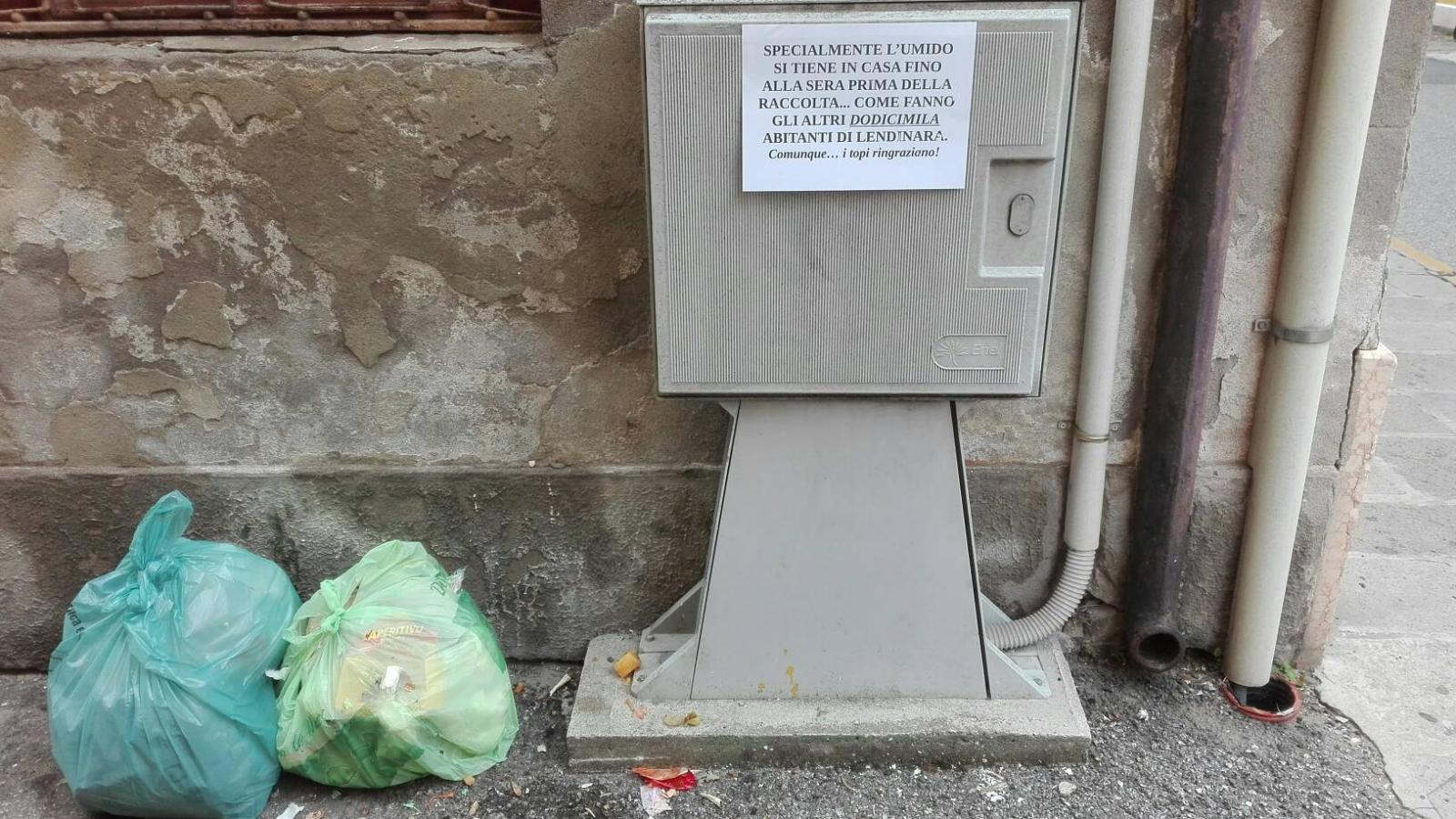 Umido in strada, invasione di topi