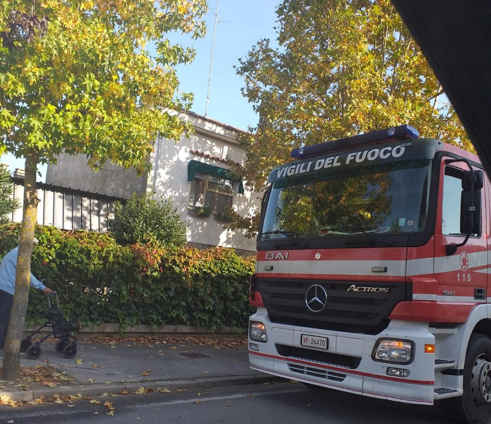 Le api invadono una casa