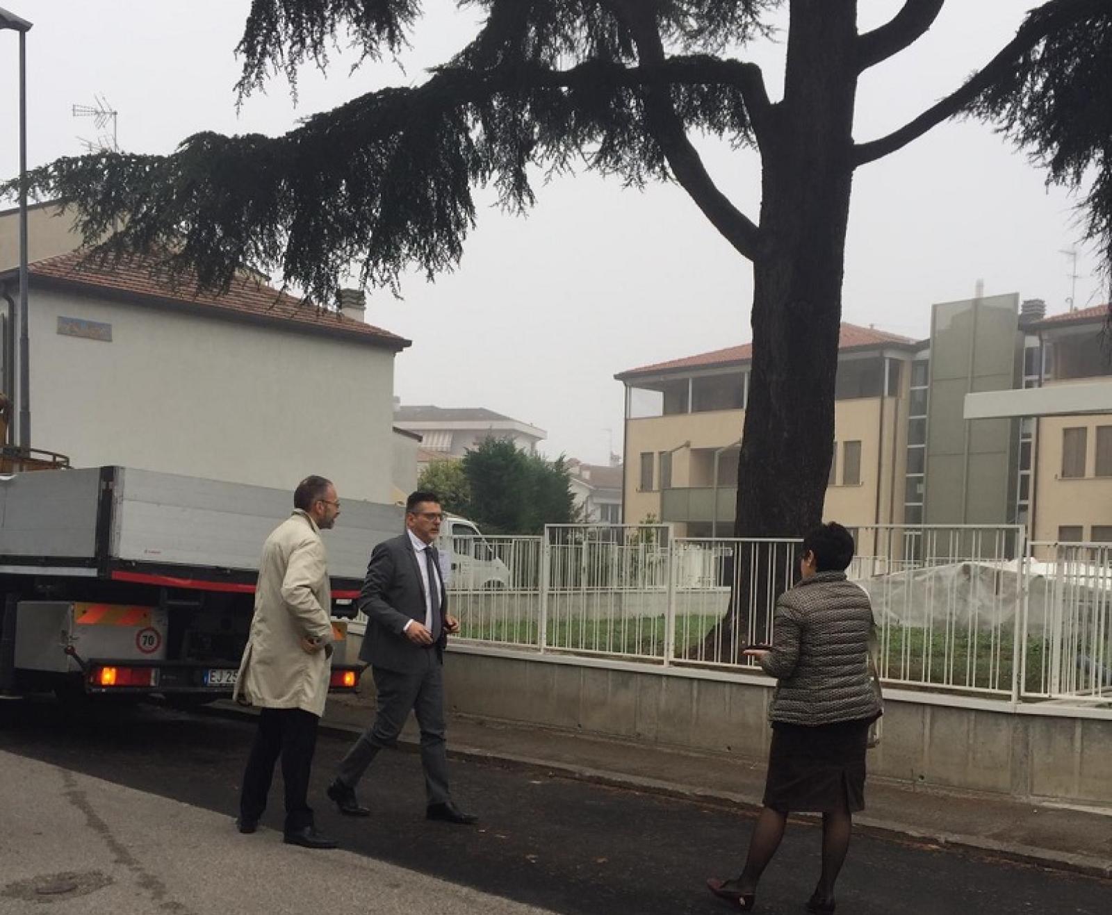 Il sindaco salva l'albero secolare