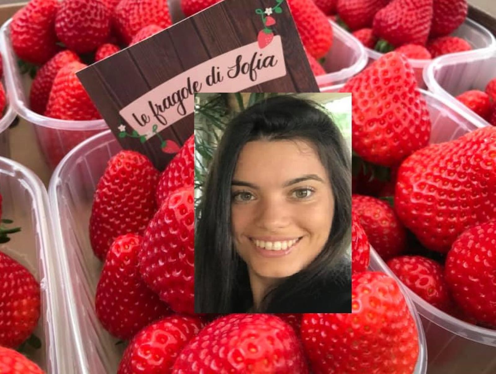 Fragole da premio made in Polesine