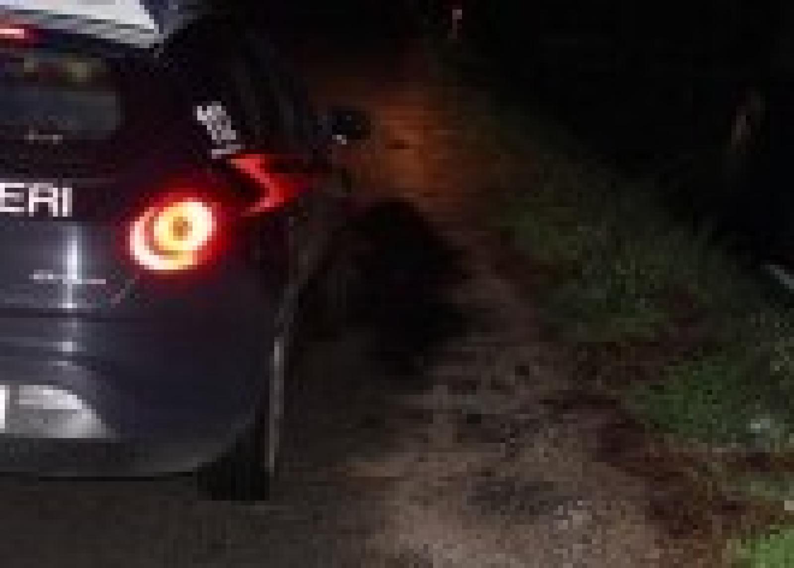 Morta, travolta da un'auto mentre aiutava un cane