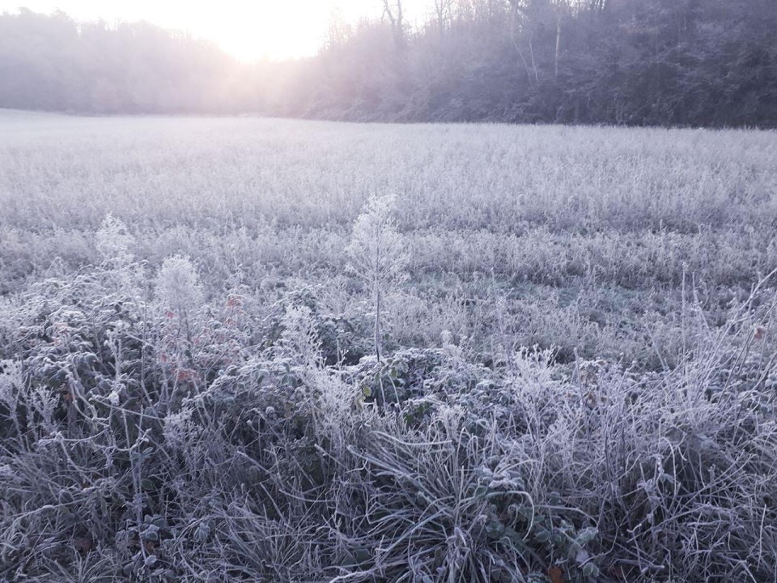 Arriva l'inverno: temperature sottozero