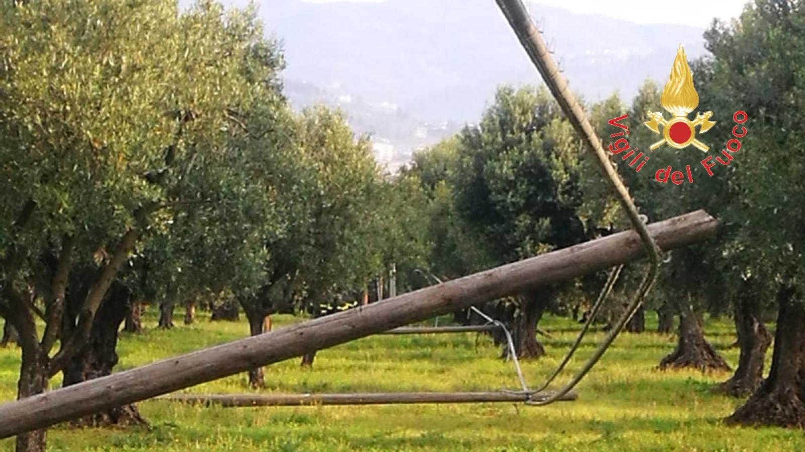 Crollano i pali sulla strada, allarme maltempo