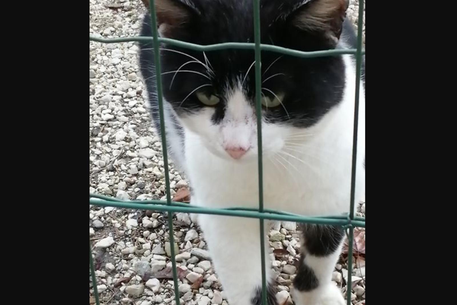 Aiutiamolo a ritrovare la sua casa 