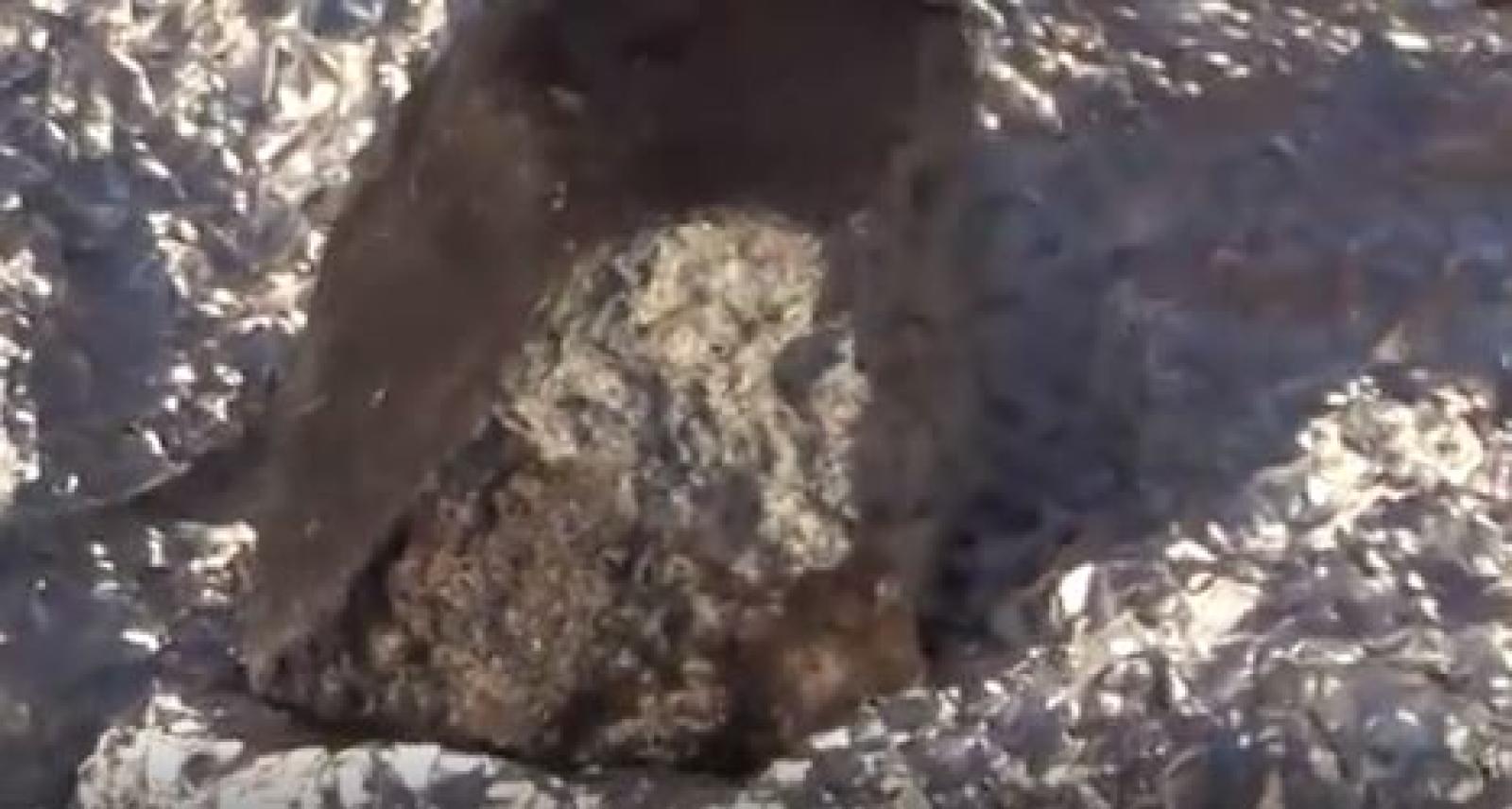 Ecco i primi frammenti del meteorite caduto non lontano dal Polesine