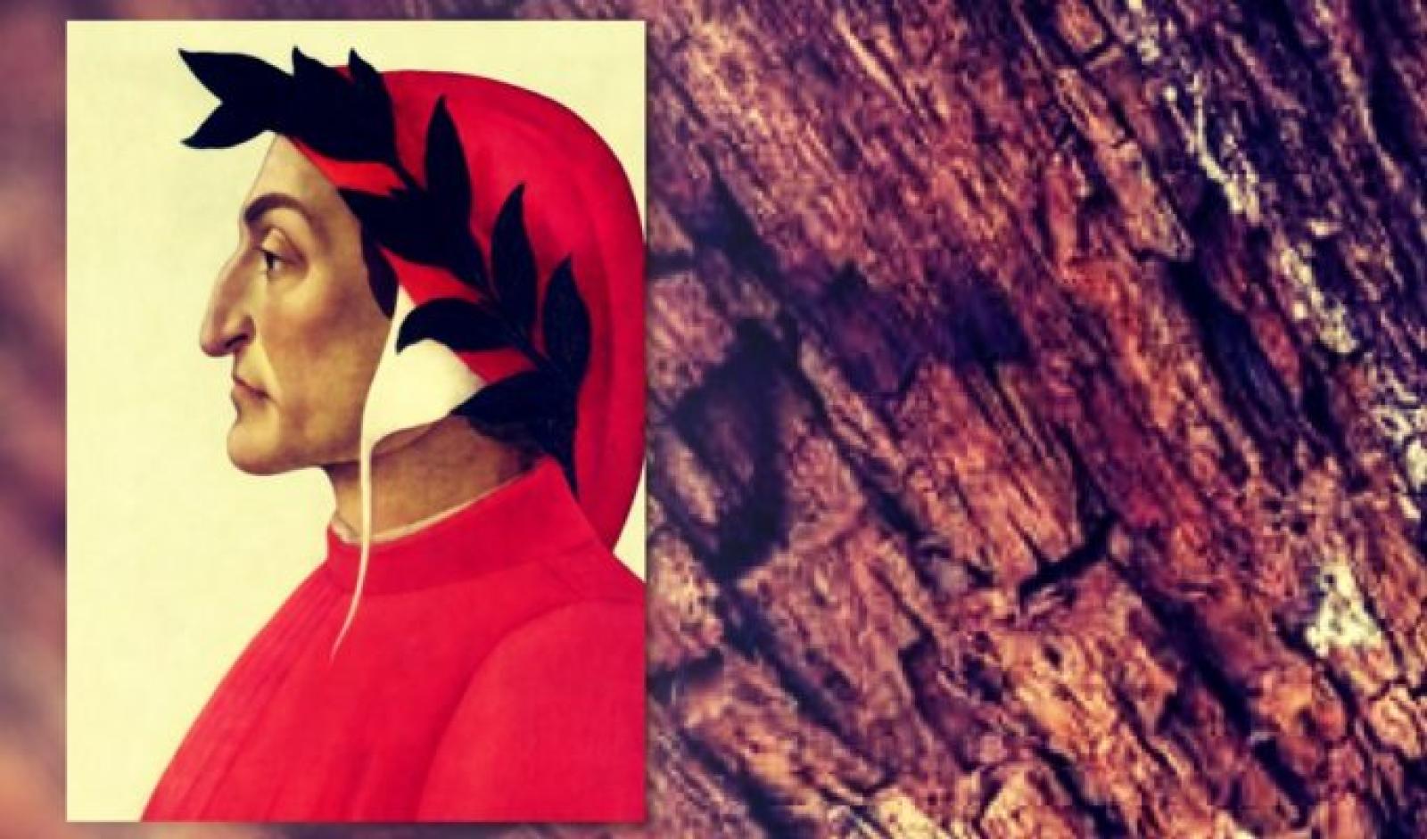 Una serie di eventi per celebrare la quercia del Delta che salv&ograve; Dante