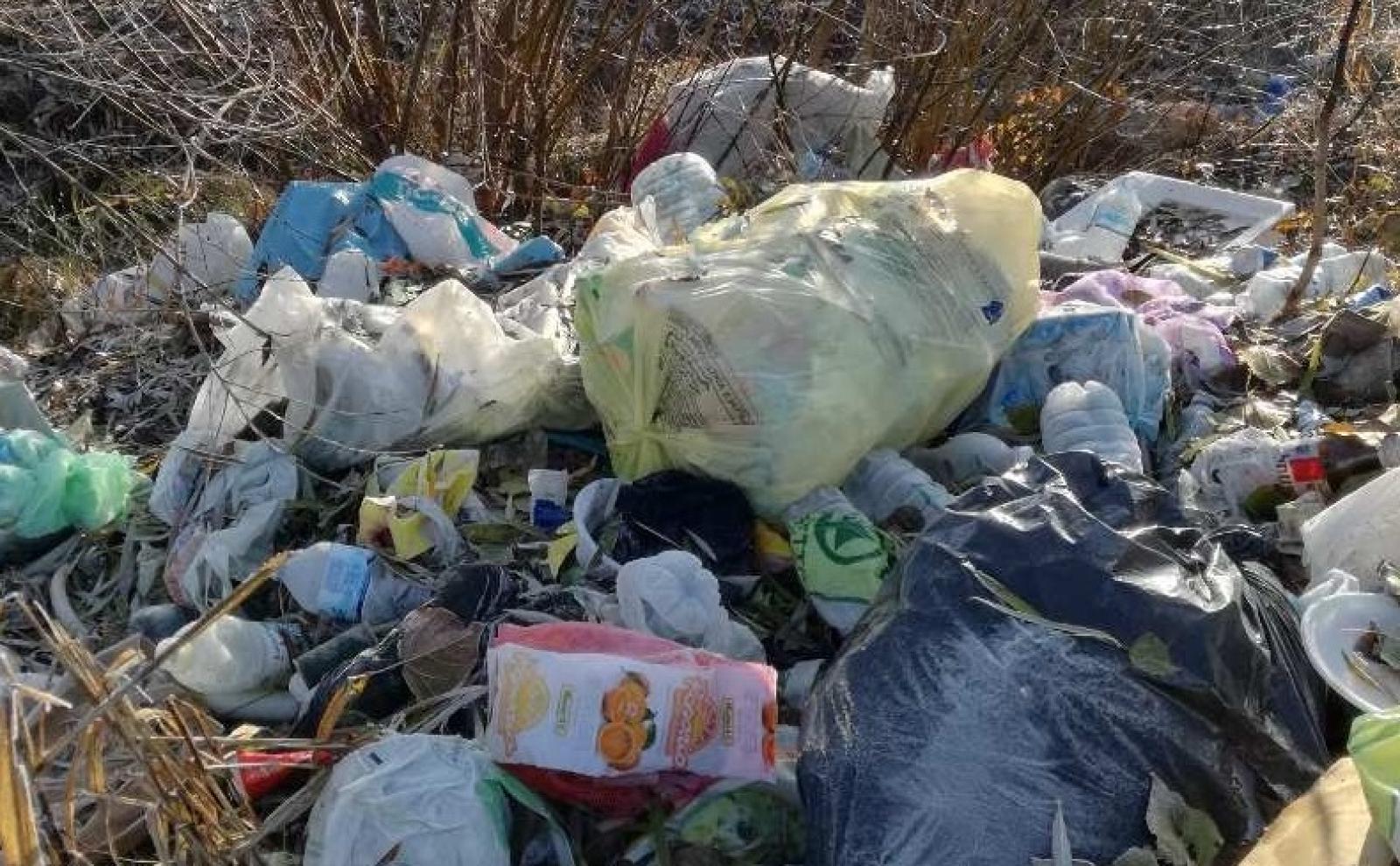 A proteggere l'ambiente arrivano le guardie ecologiche