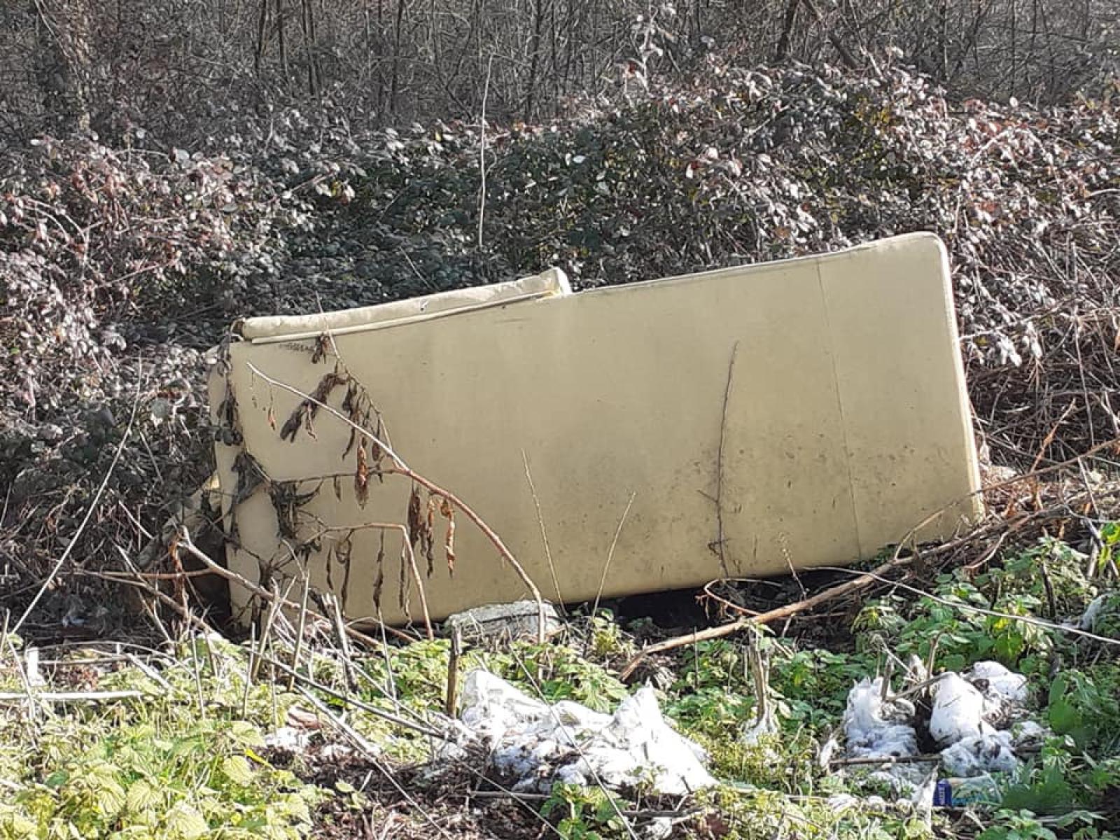 Va a girare un documentario nell'oasi, trova una discarica