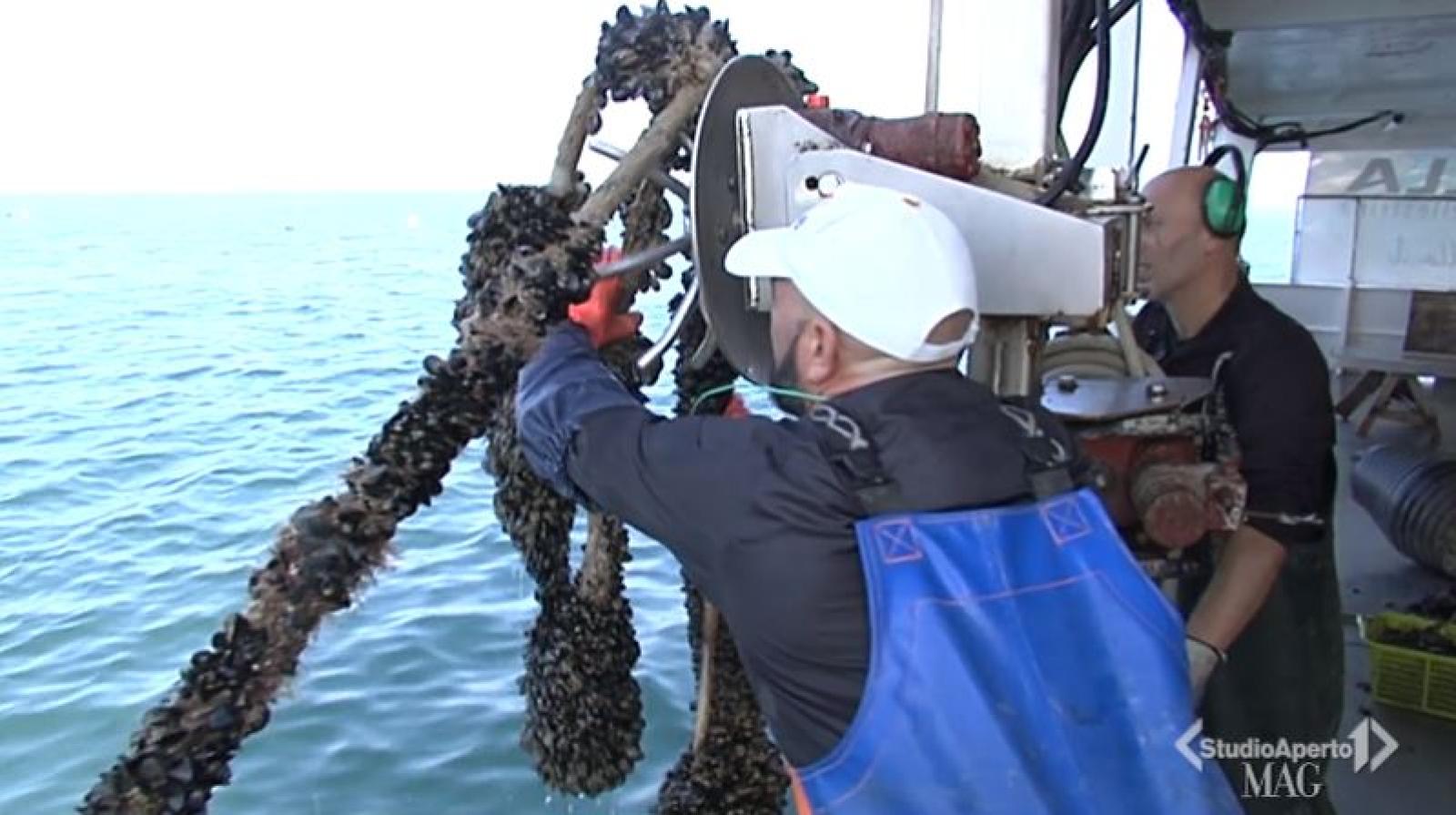 Oggi in tv la garanzia di un prodotto del nostro Delta