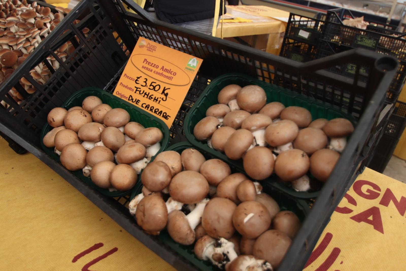 I funghi tornano sui banchi del mercato coperto