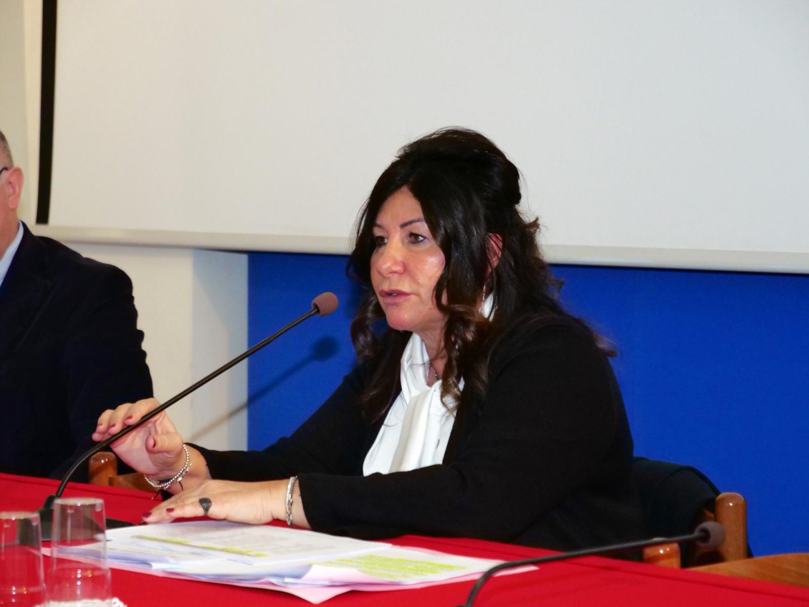 &ldquo;Telecamere rotte in Rotonda&rdquo;