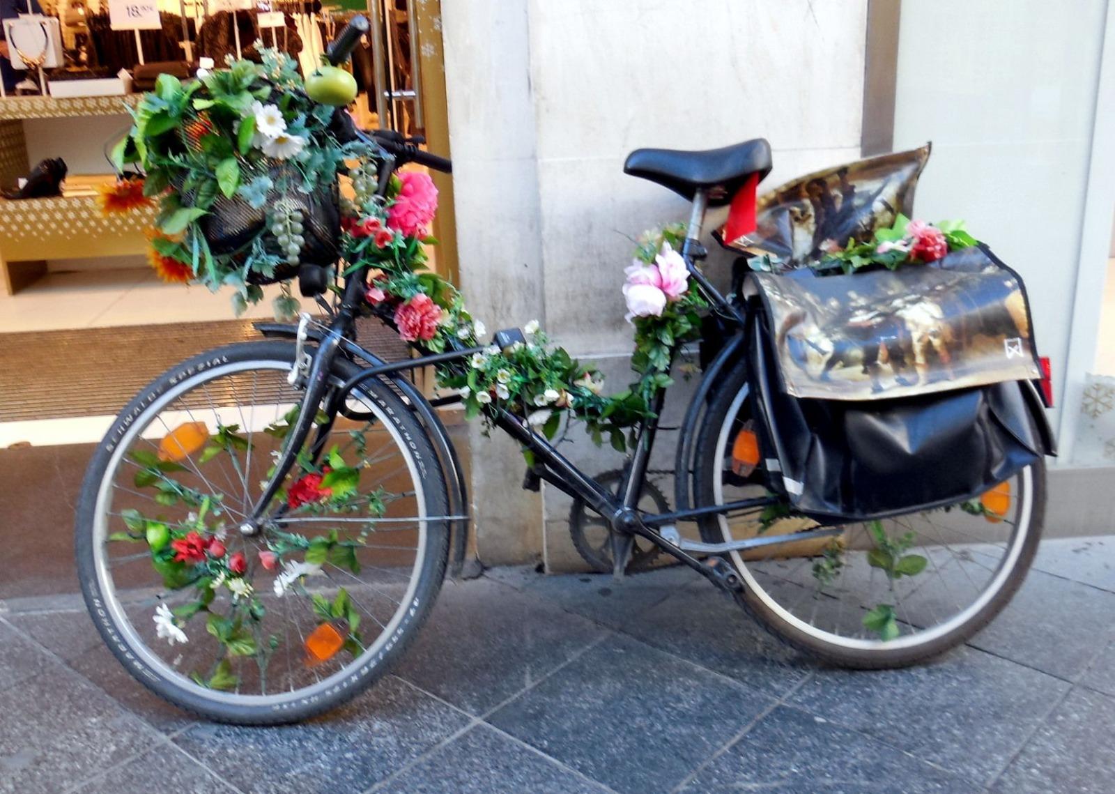 "Approfittatene per godervi un giro in bici o una passeggiata, in sicurezza"