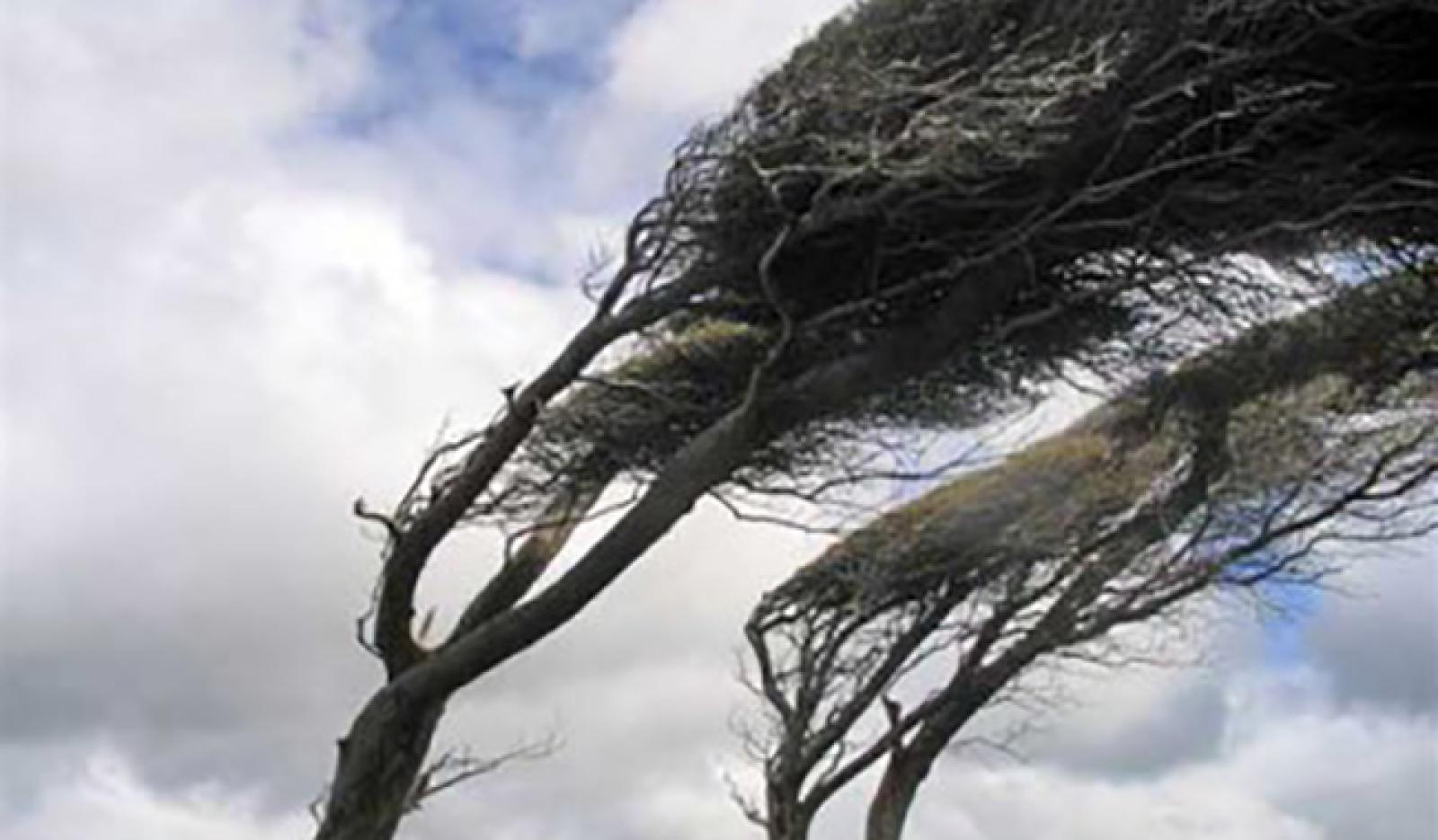 Attenzione: Vento di Bora in arrivo