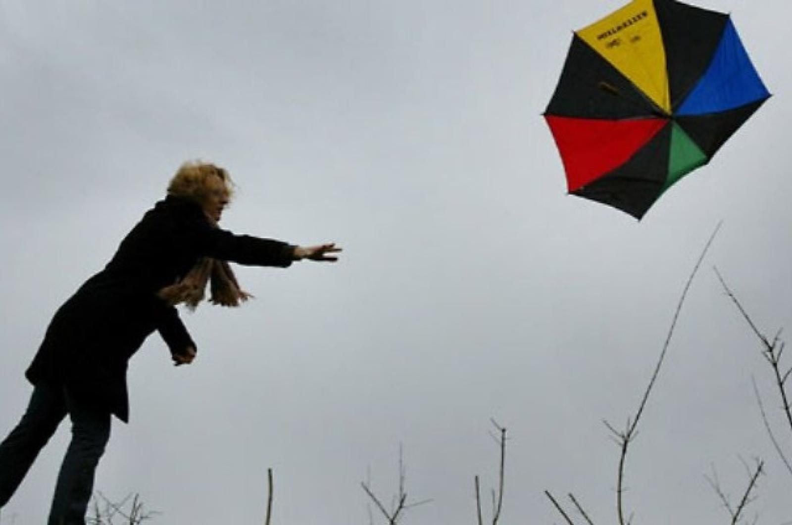 Attenzione: Vento di Bora in arrivo