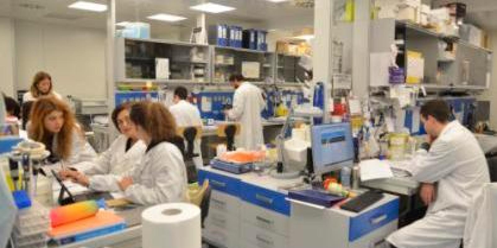 Dalle giacche alle mascherine, Calzedonia cambia la produzione