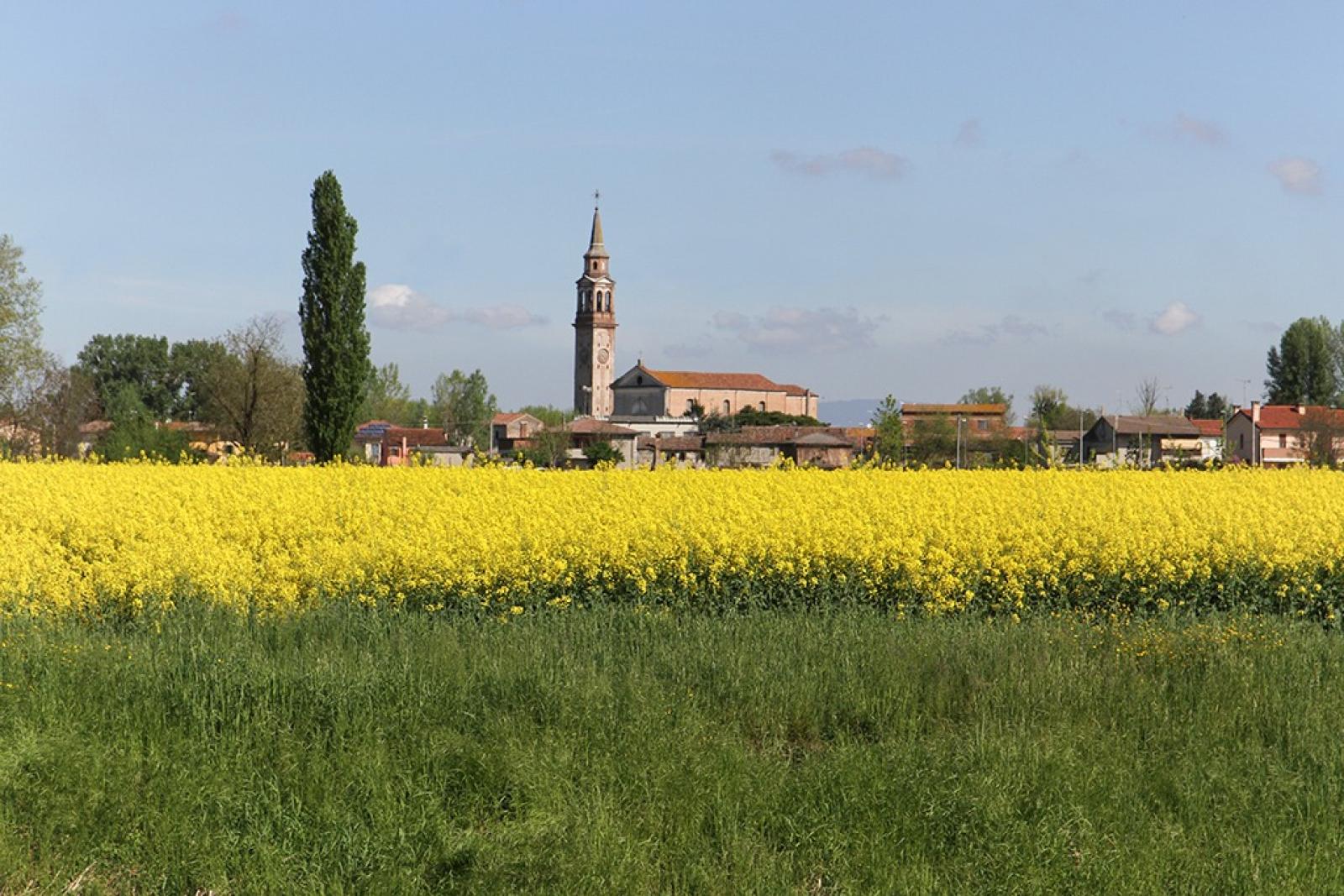 "Sar&agrave; un ponte stupendo. Uscite in bici, o a piedi. In sicurezza"