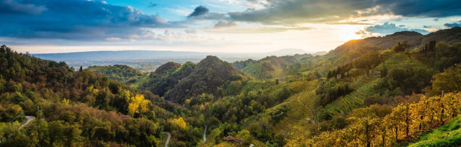 Erbicidi naturali: i nuovi alleati del nostro prosecco