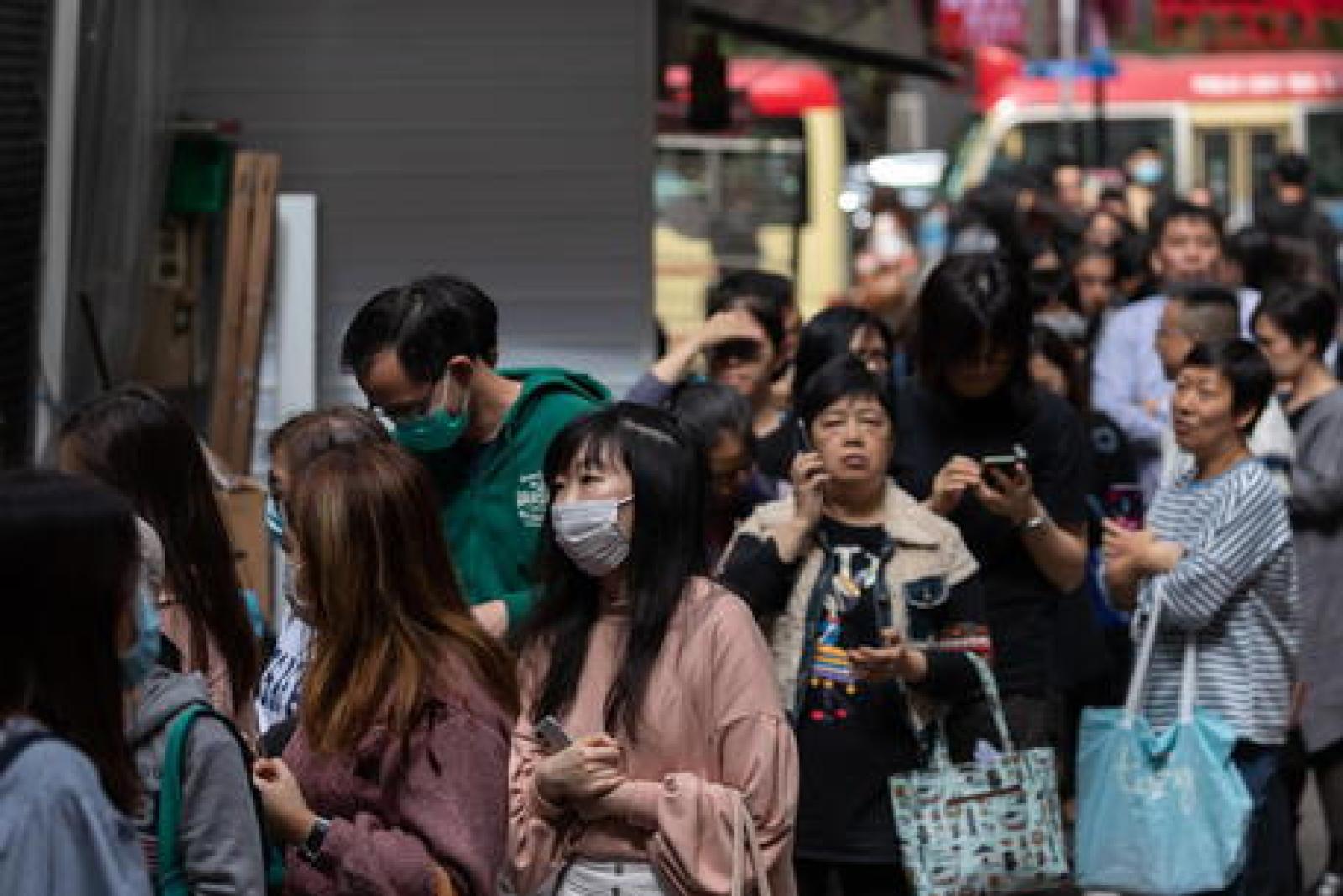 Un altro virus fa il "salto di specie": a Hong Kong l'epatite dei ratti colpisce l'uomo