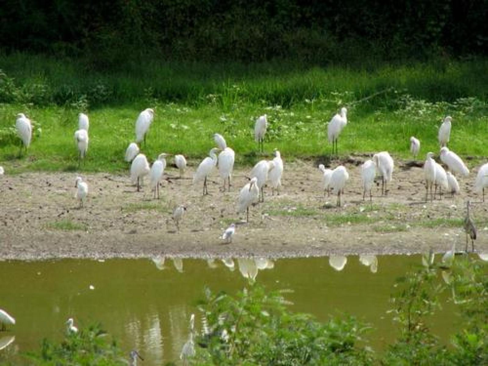 Papozze, l'oasi di Panarella si prepara ad accogliere i visitatori