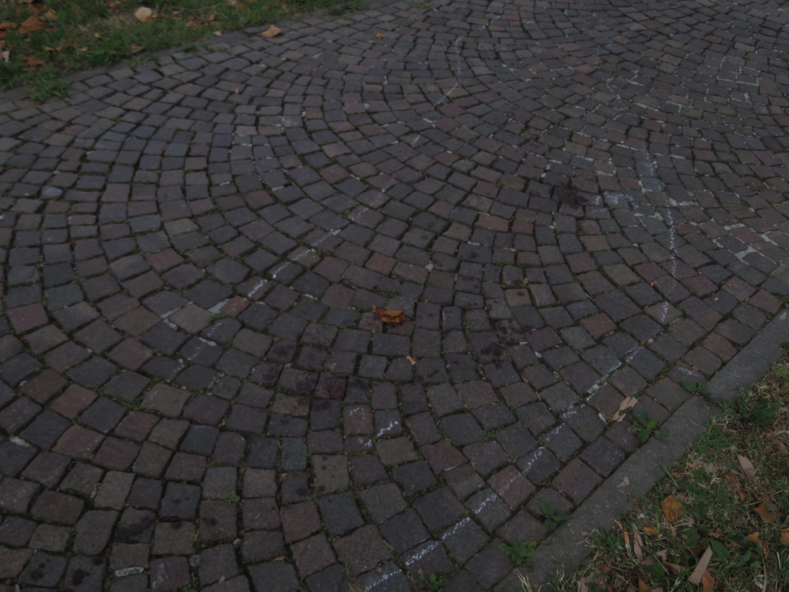 Ballerina accoltellata, arrestate due colleghe