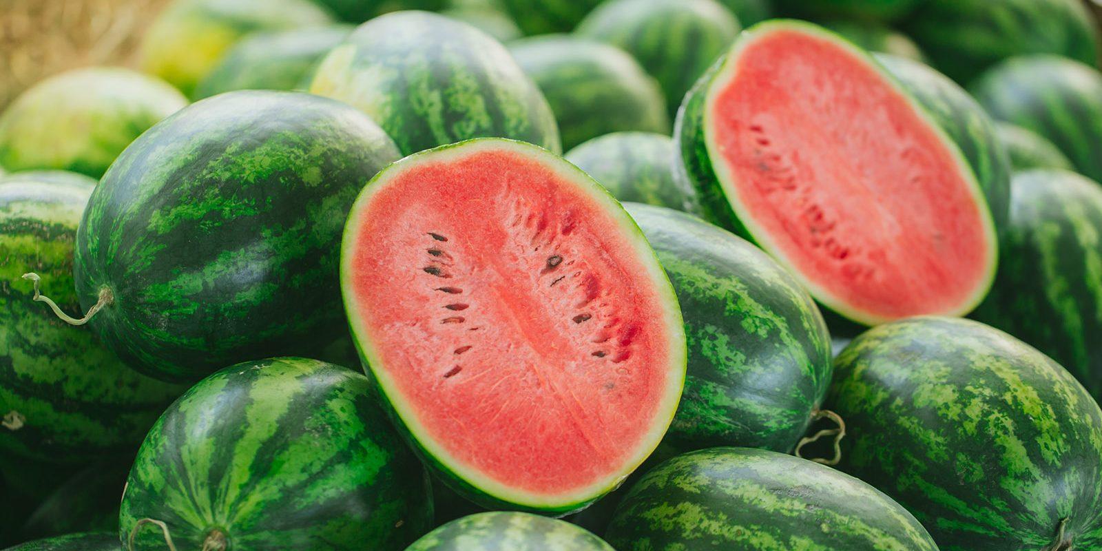 Angurie a un cent al chilo: "Schiaffo all'agricoltura"