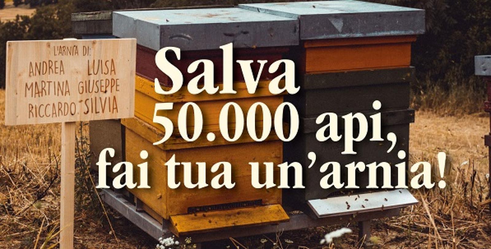 "Salva 50mila api, adotta un'arnia"
