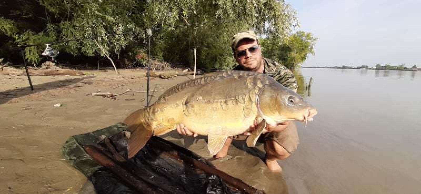 Una super carpa: che pescata!
