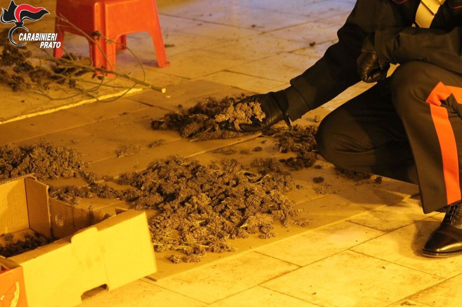 Scoperta la fabbrica di marijuana "cinese"