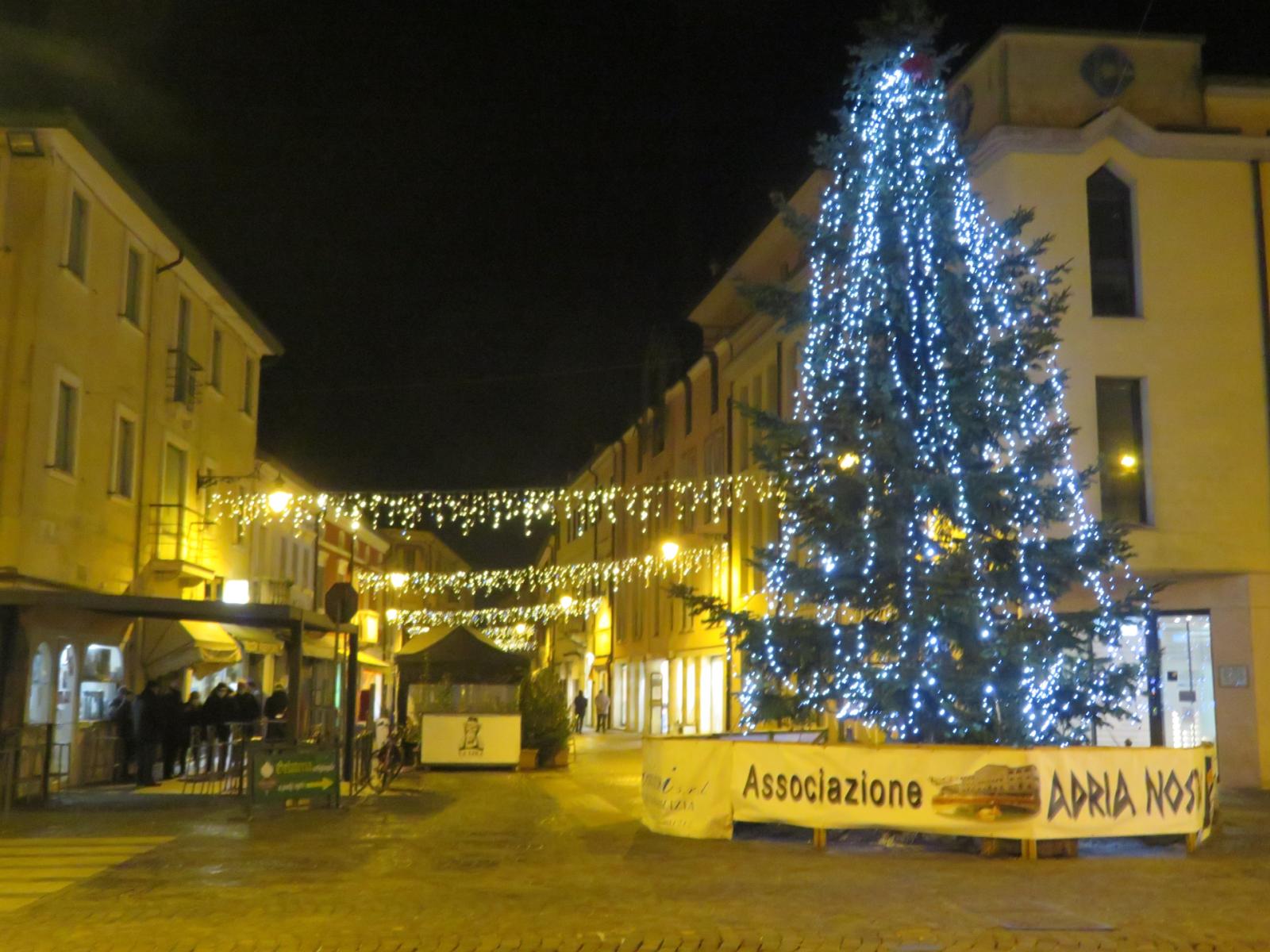 Gli alberi di Natale della citt&agrave; nel tuo giardino 