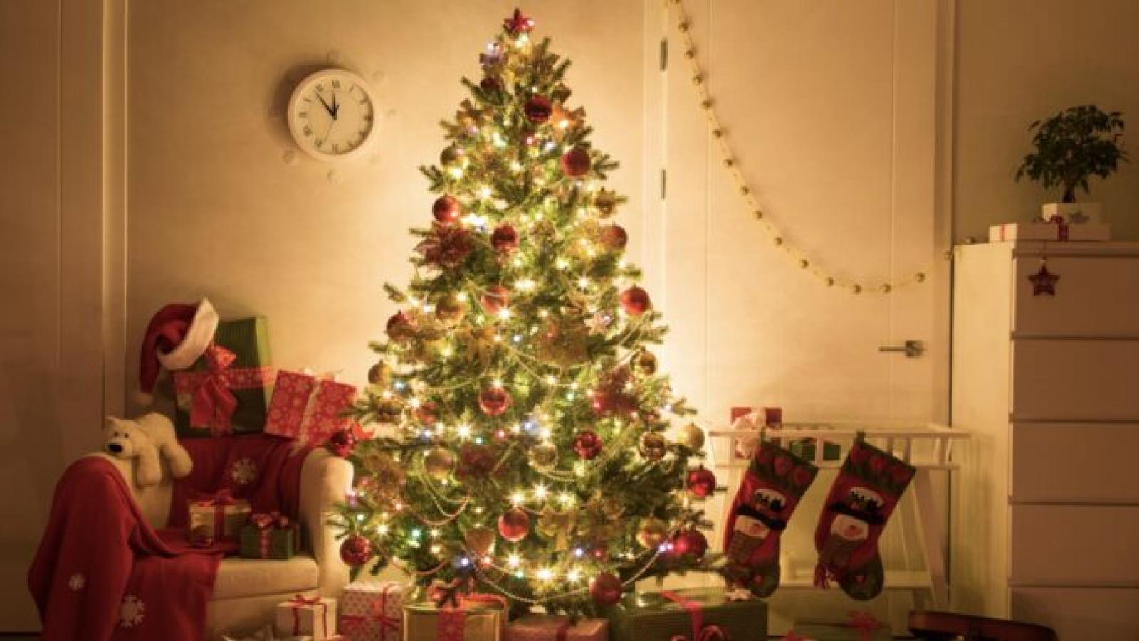 Alberi di Natale per tutti i gusti: mandateci le vostre foto 